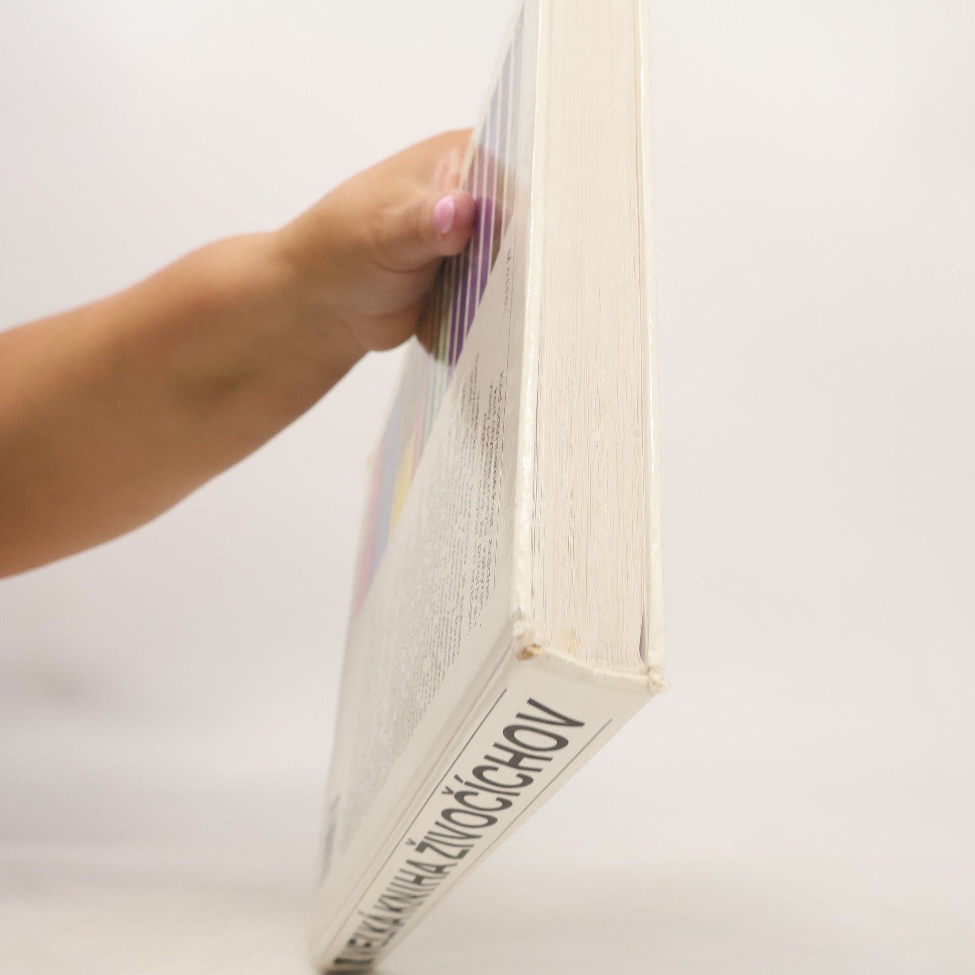 Autores varios Veľká kniha živočíchov