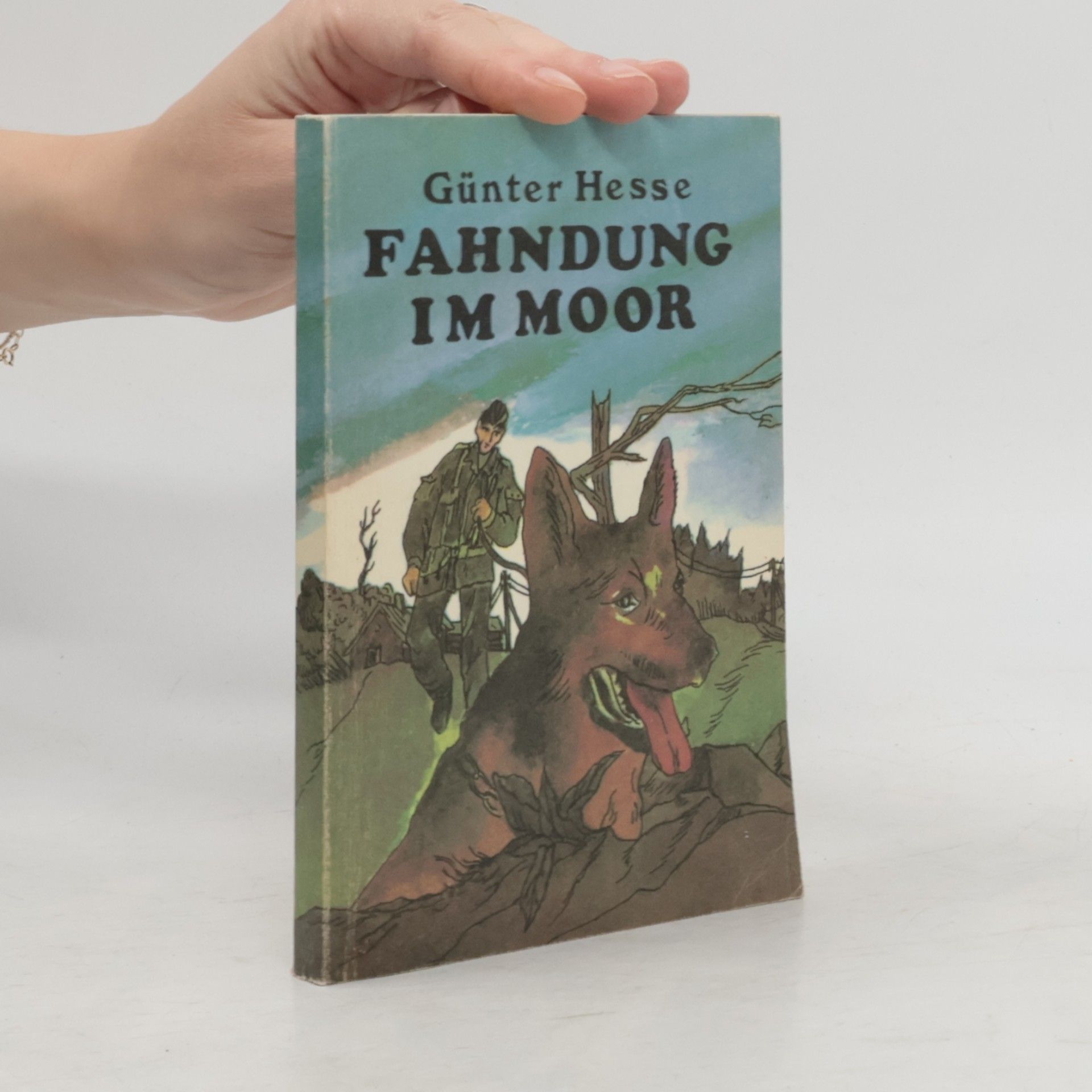 Günter Hesse Fahndung im Moor