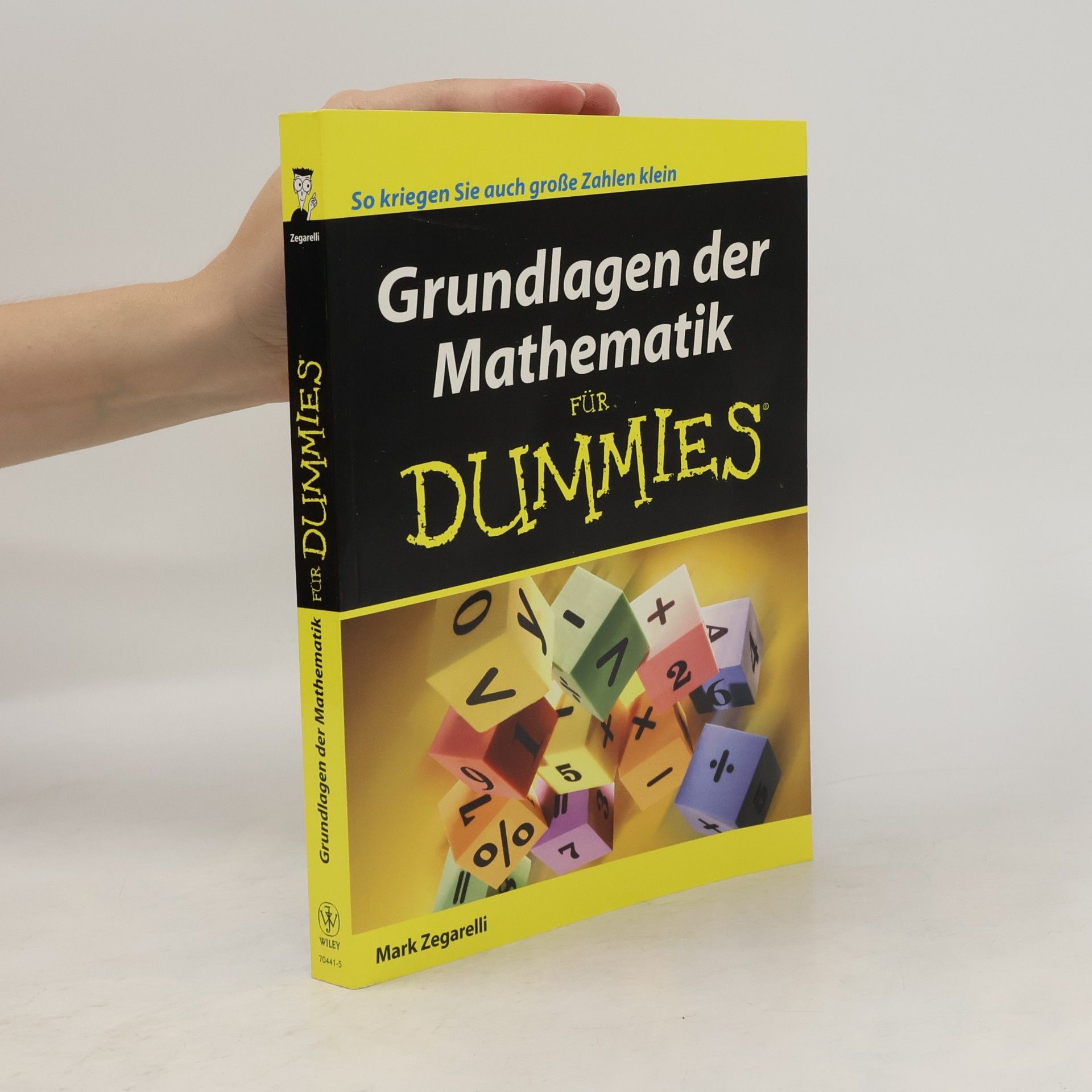 Mark Zegarelli Grundlagen der Mathematik für Dummies
