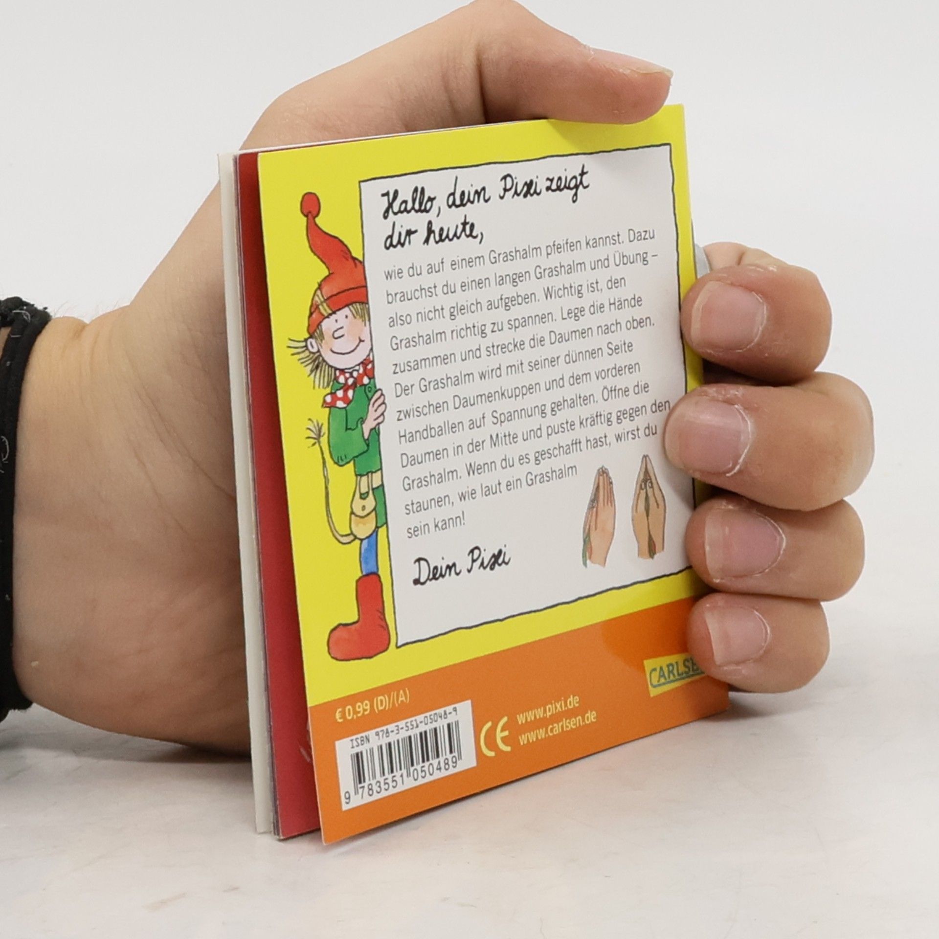 Autorenkollektiv Pia spielt Flöte
