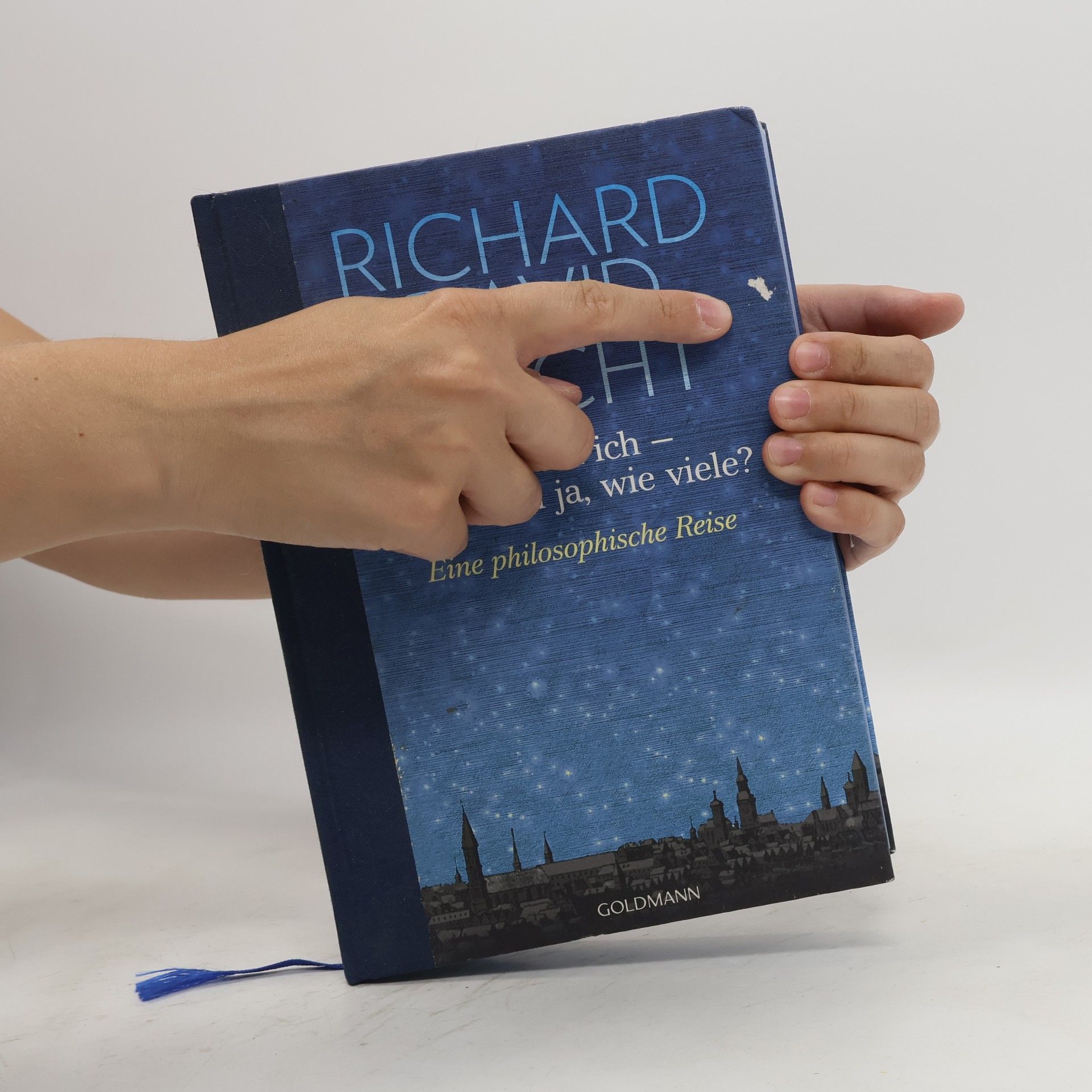 Richard David Precht Wer bin ich - und wenn ja, wie viele?