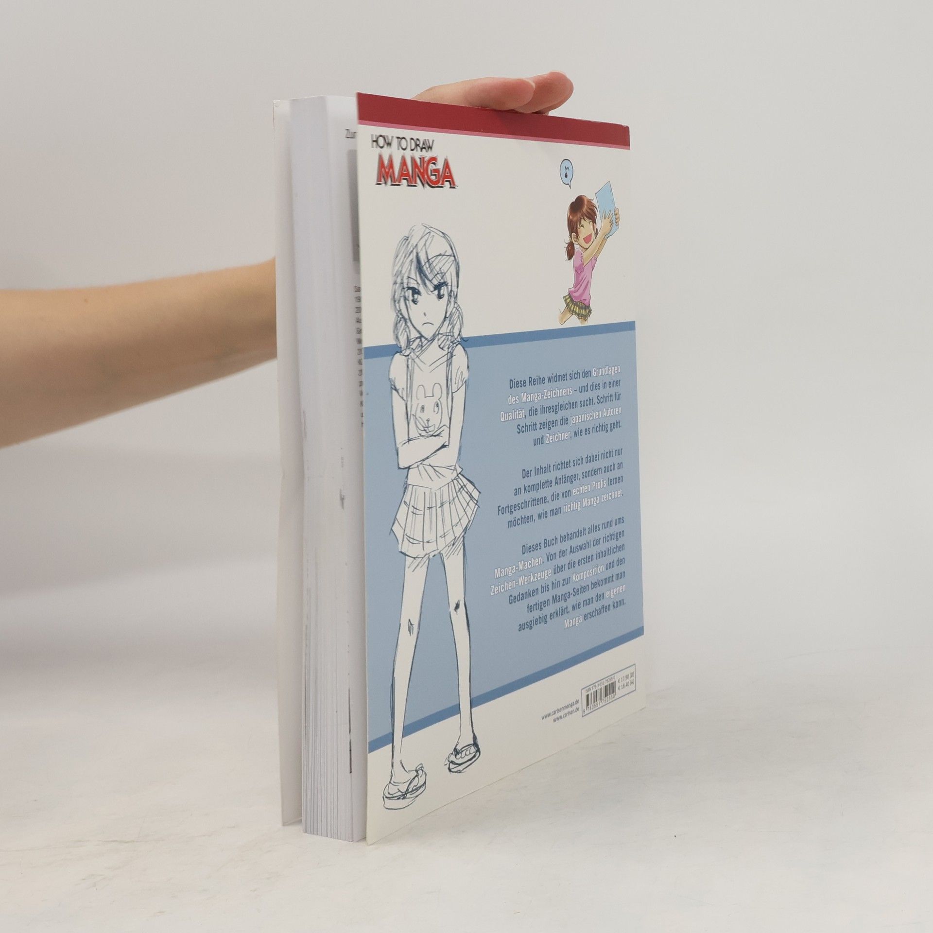 Sanae Narita Grundlagen der Manga-Kunst