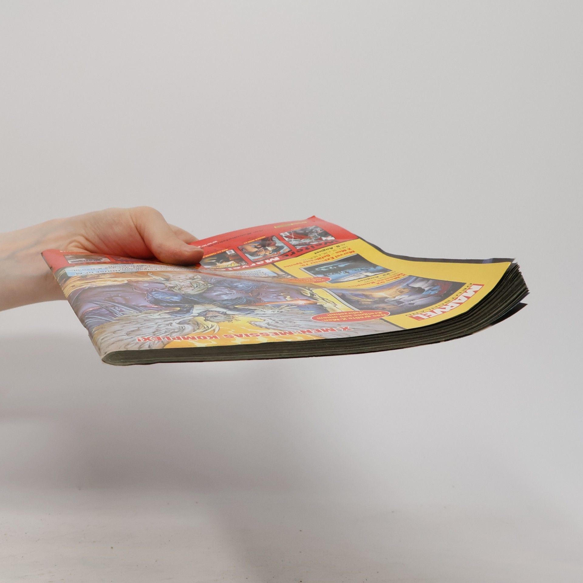 Autorenkollektiv Panini 91/2008