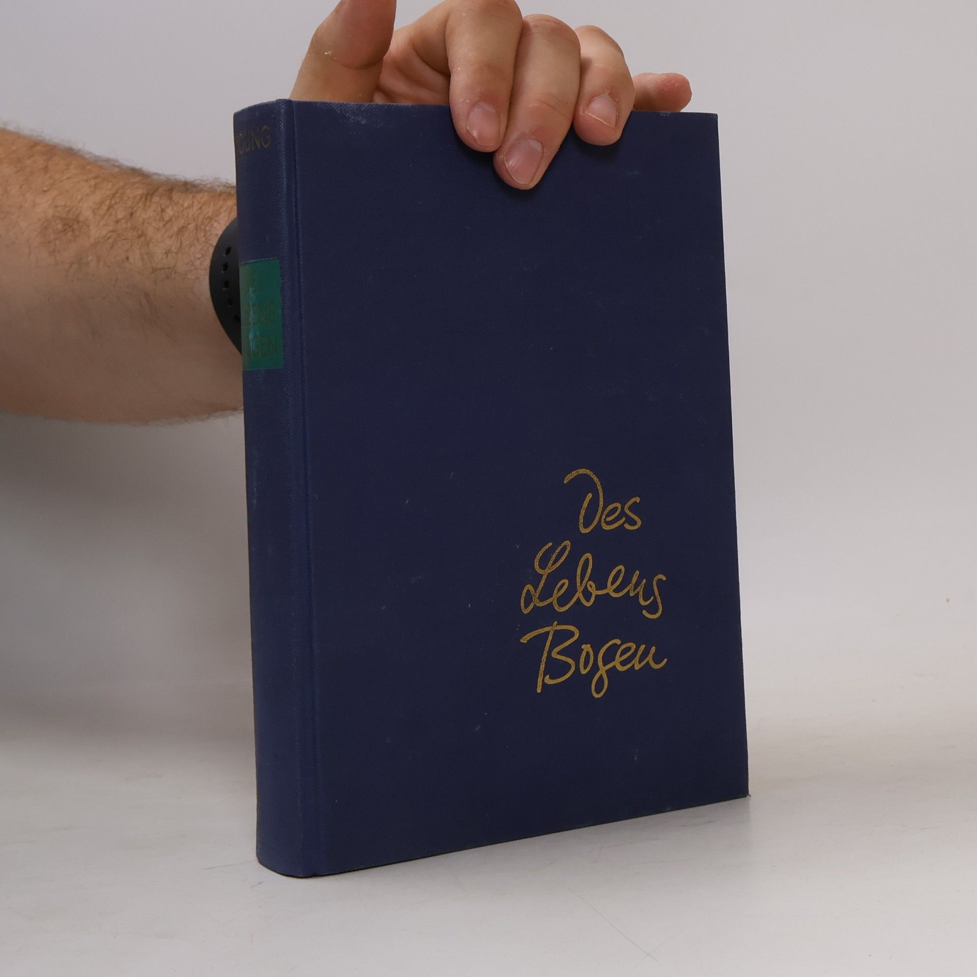 Kolektiv autorů Des Lebens Bogen