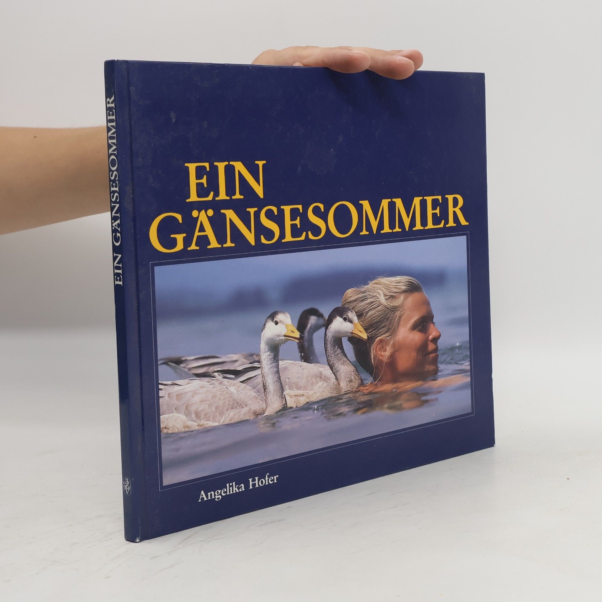 Angelika Höfer Ein Gänsesommer