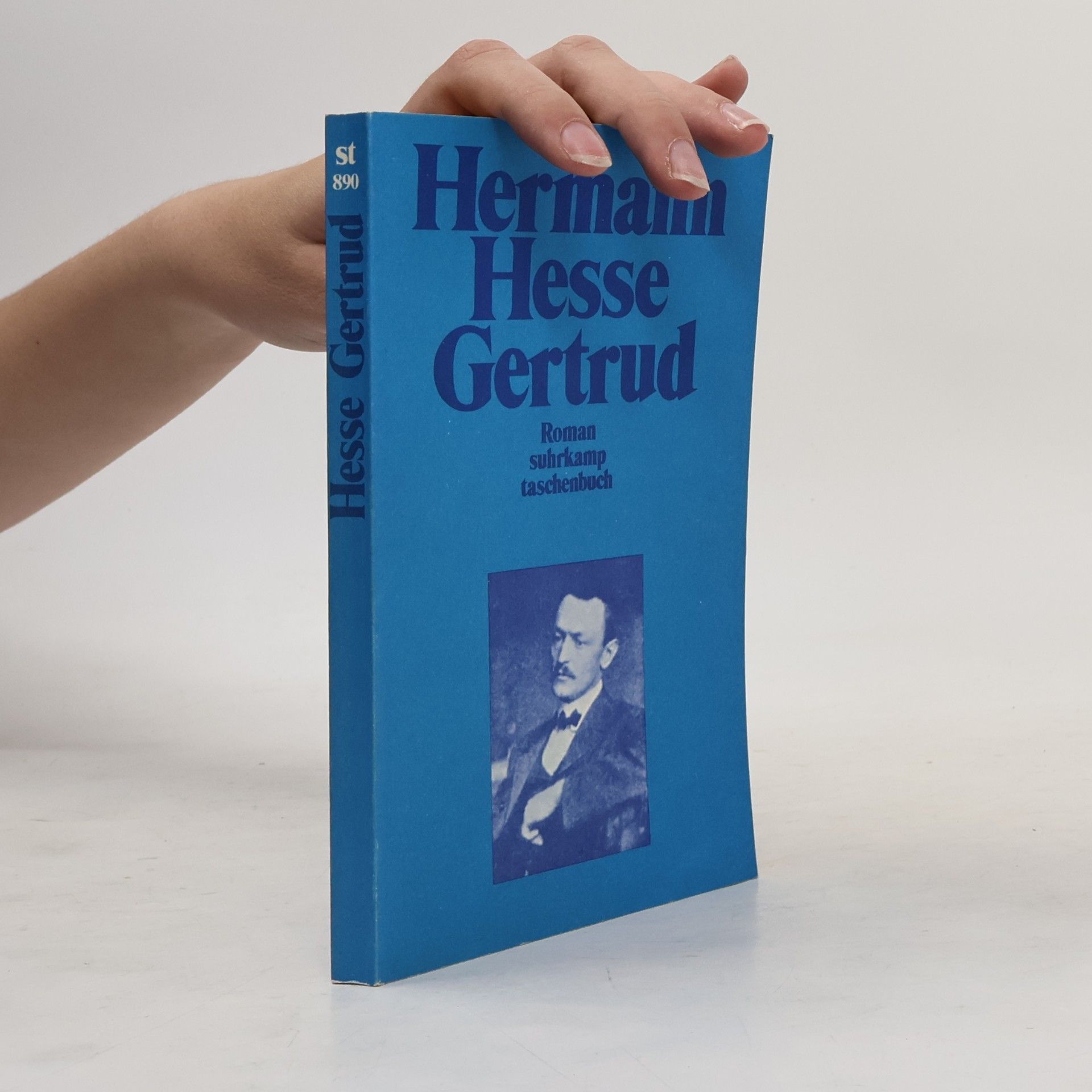 Hermann Hesse Gertrud