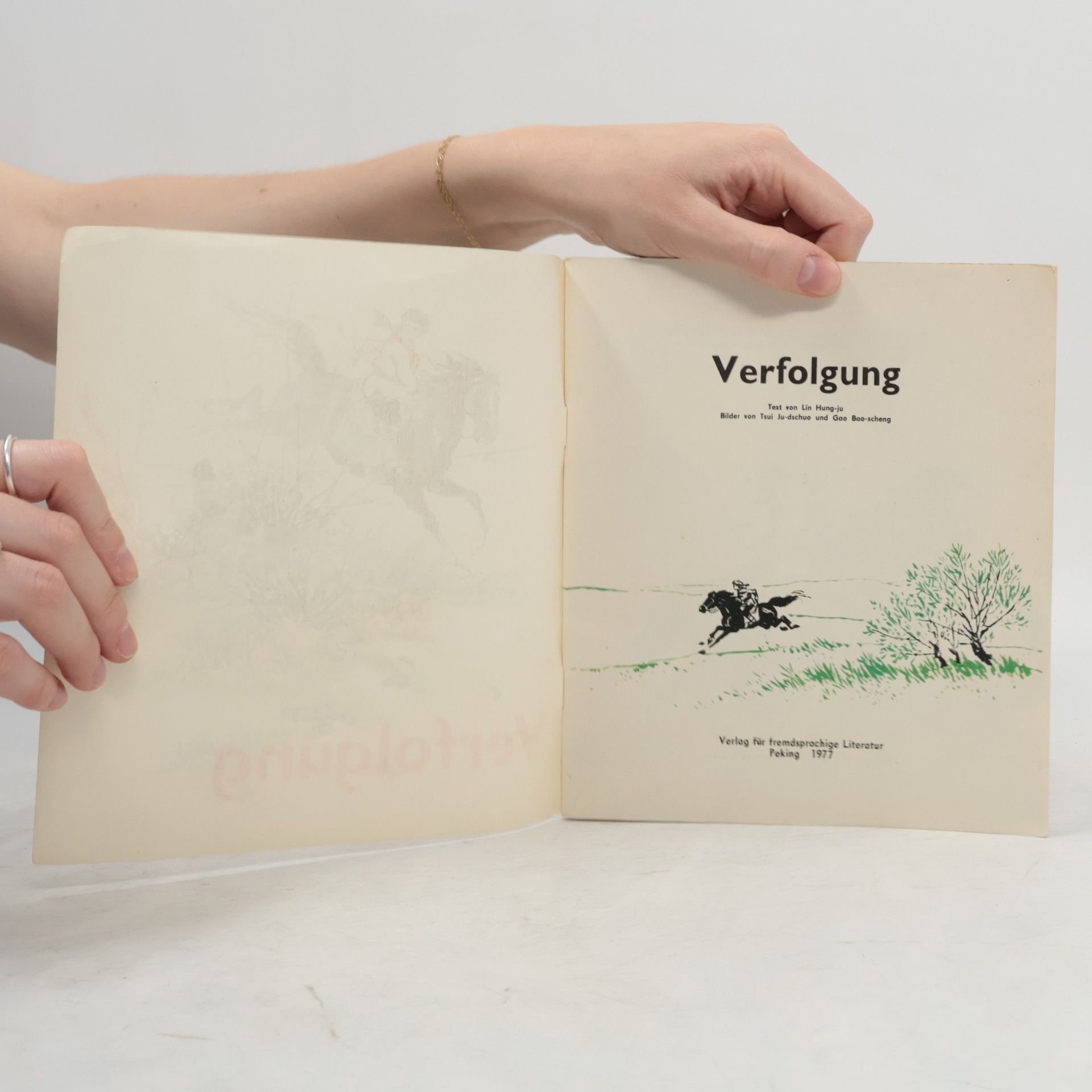 Auteurscollectief Verfolgung