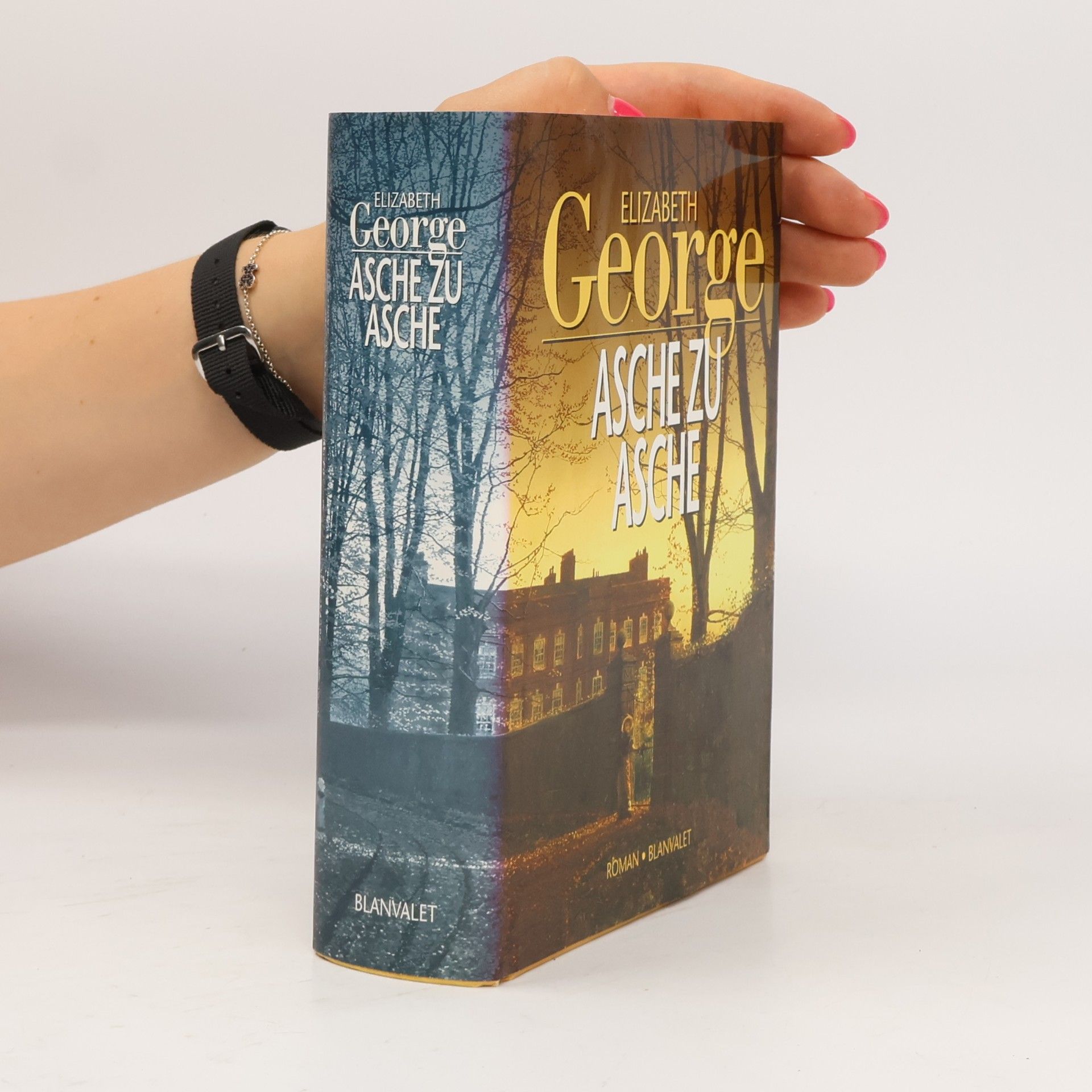 Elizabeth George Asche zu Asche