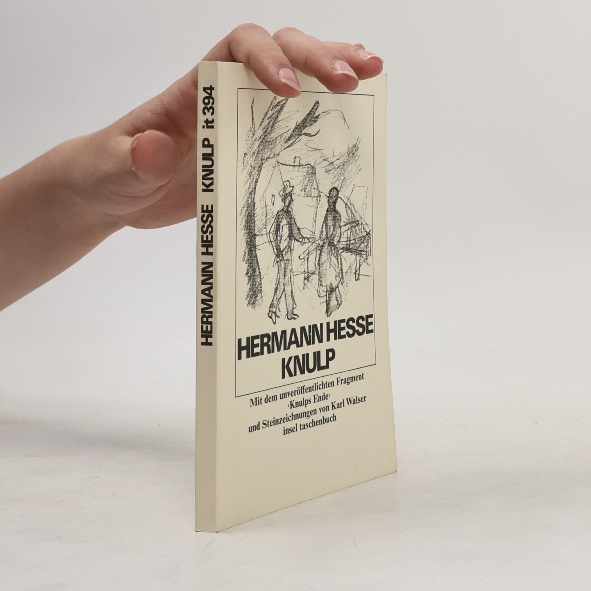 Hermann Hesse Knulp