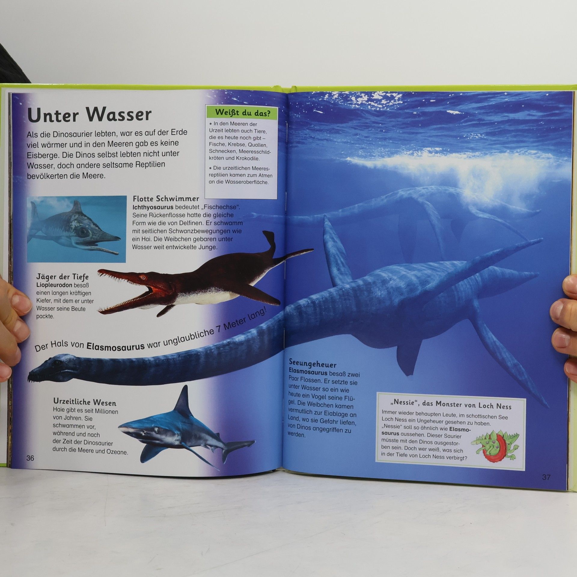 Sarah Walker Memo Kids. Dinosaurier. Riesen der Urzeit