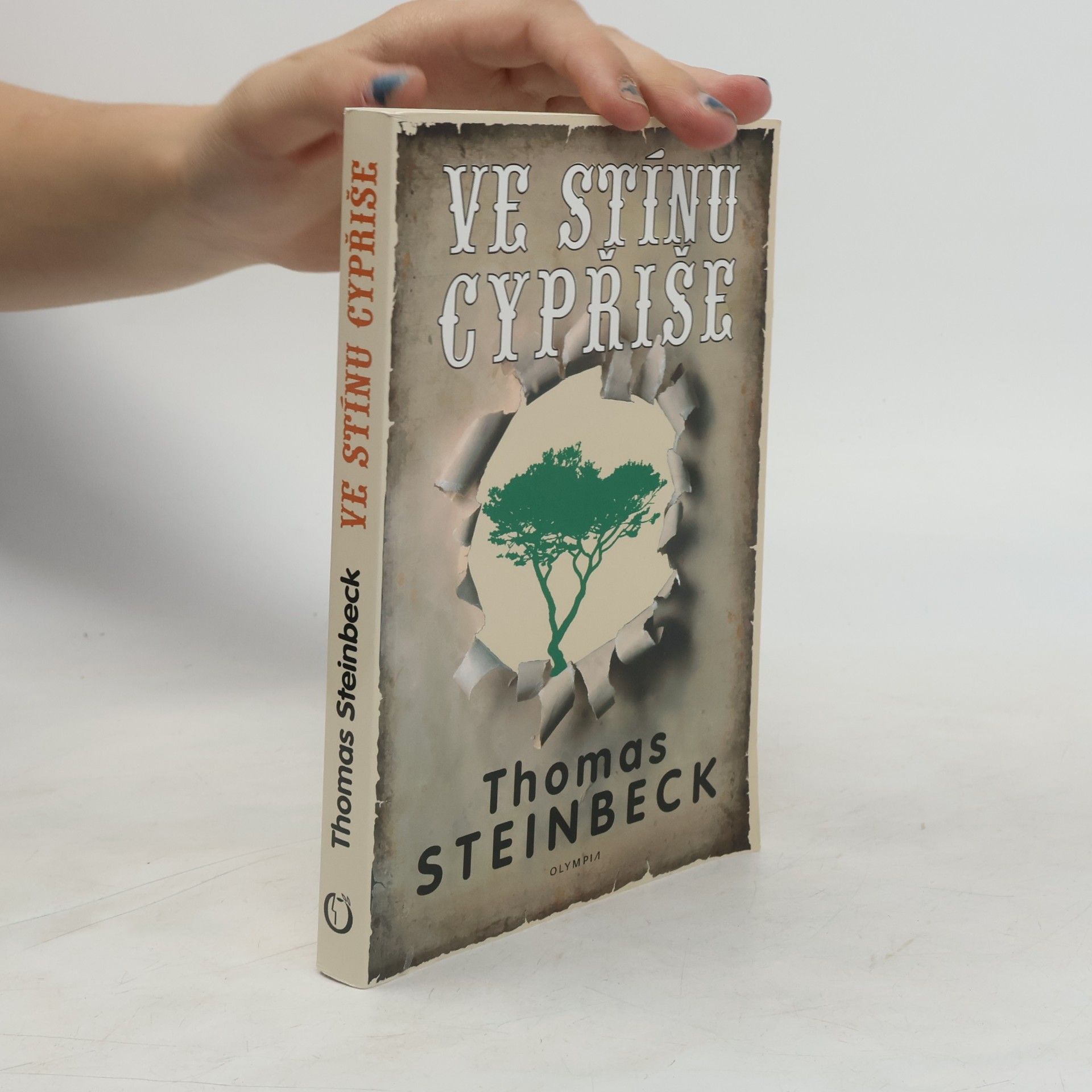 Thomas Steinbeck Ve stínu cypřiše