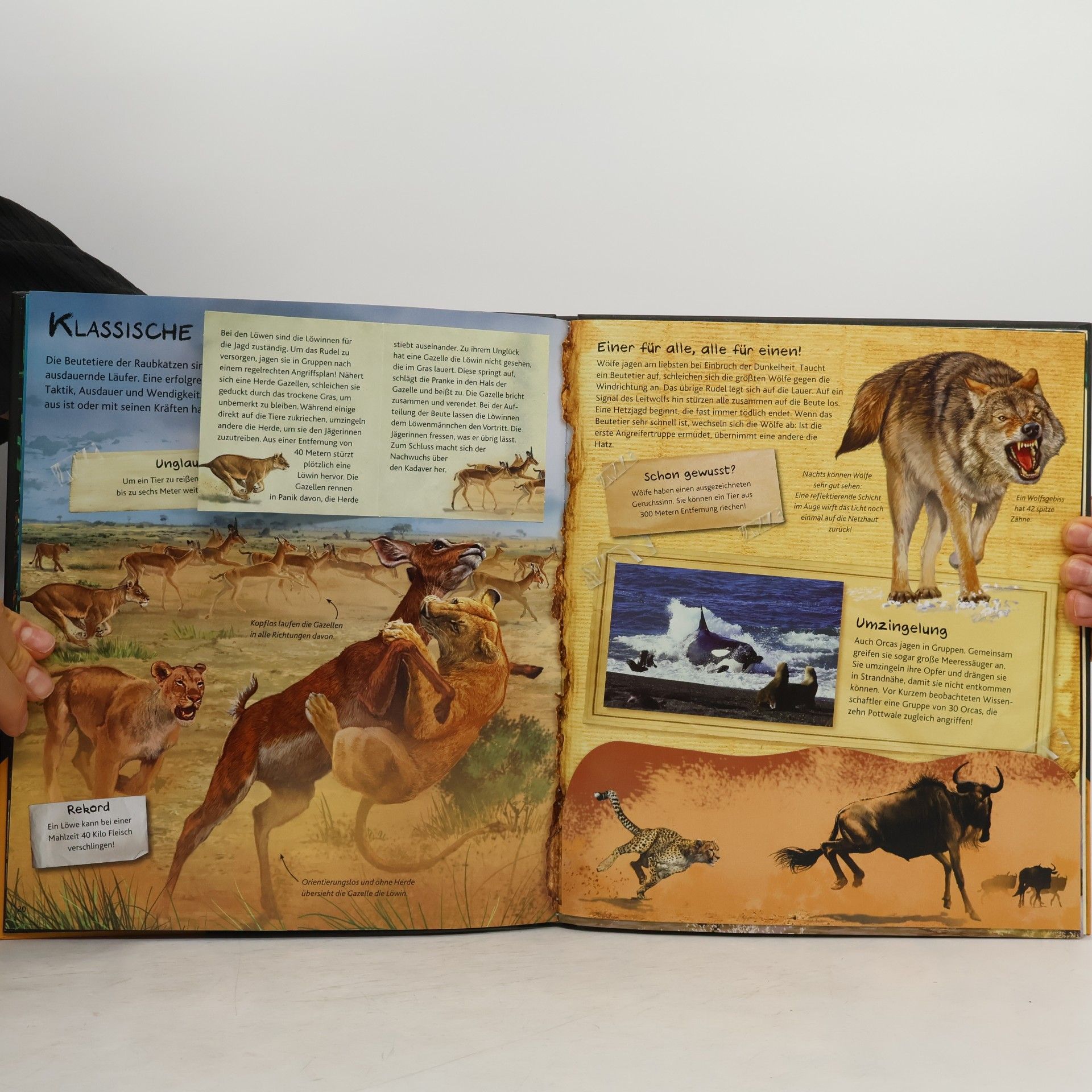 Sabine Müller Superschlaue Tiere. Mit vielen Klappen, Spieleffekten und Pop-up