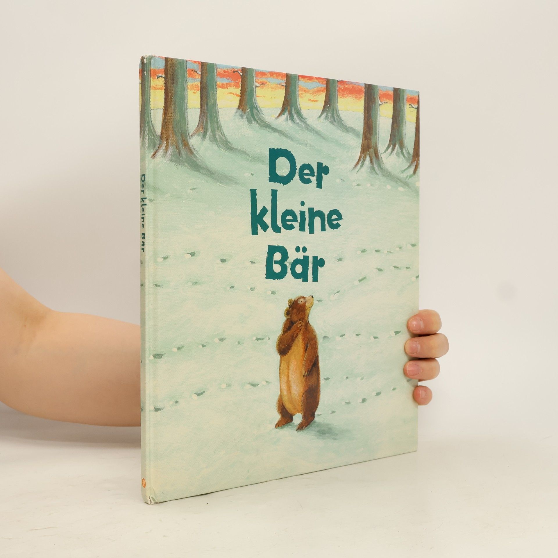 Karen Hayles Der kleine Bär