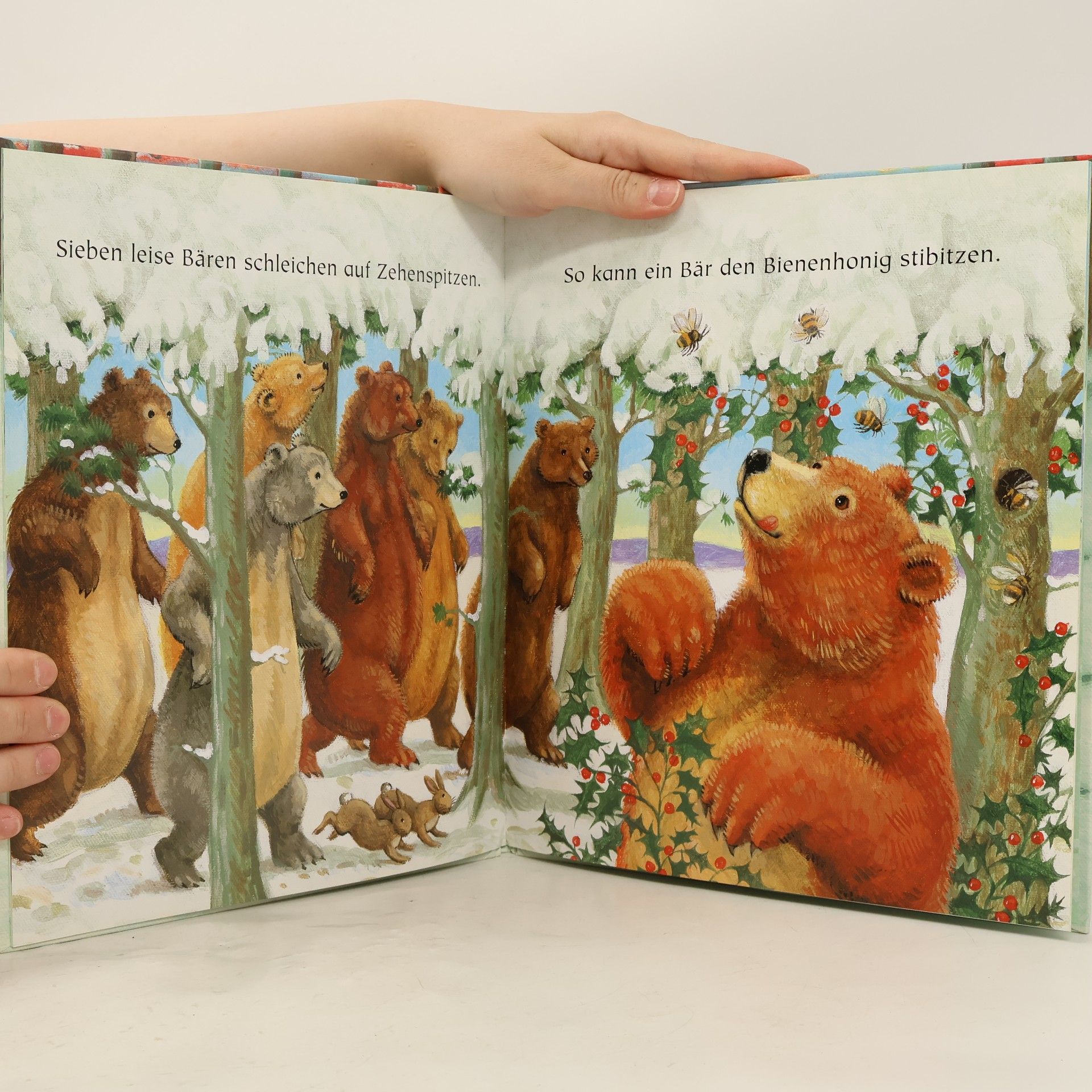Karen Hayles Der kleine Bär