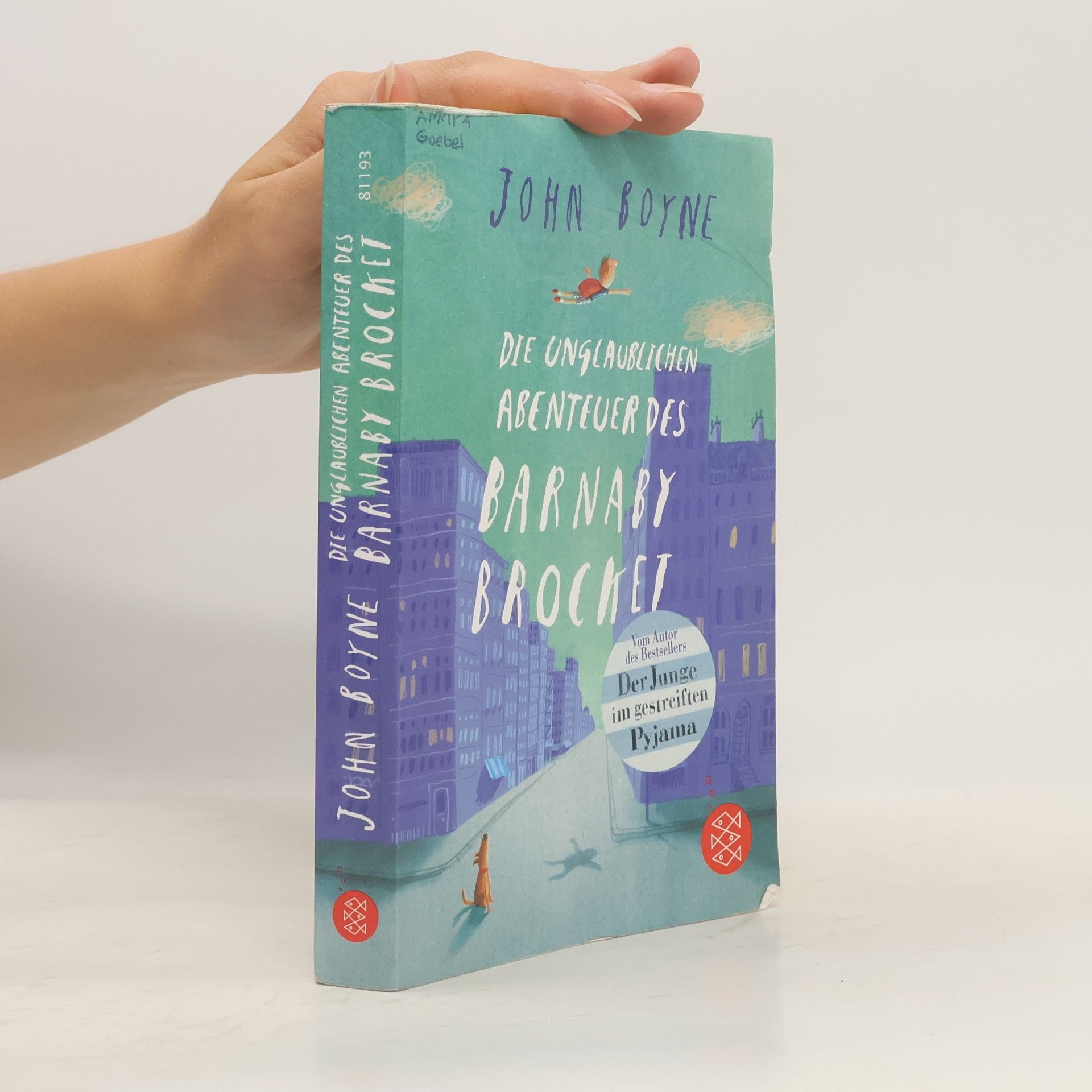 John Boyne Die unglaublichen Abenteuer des Barnaby Brocket