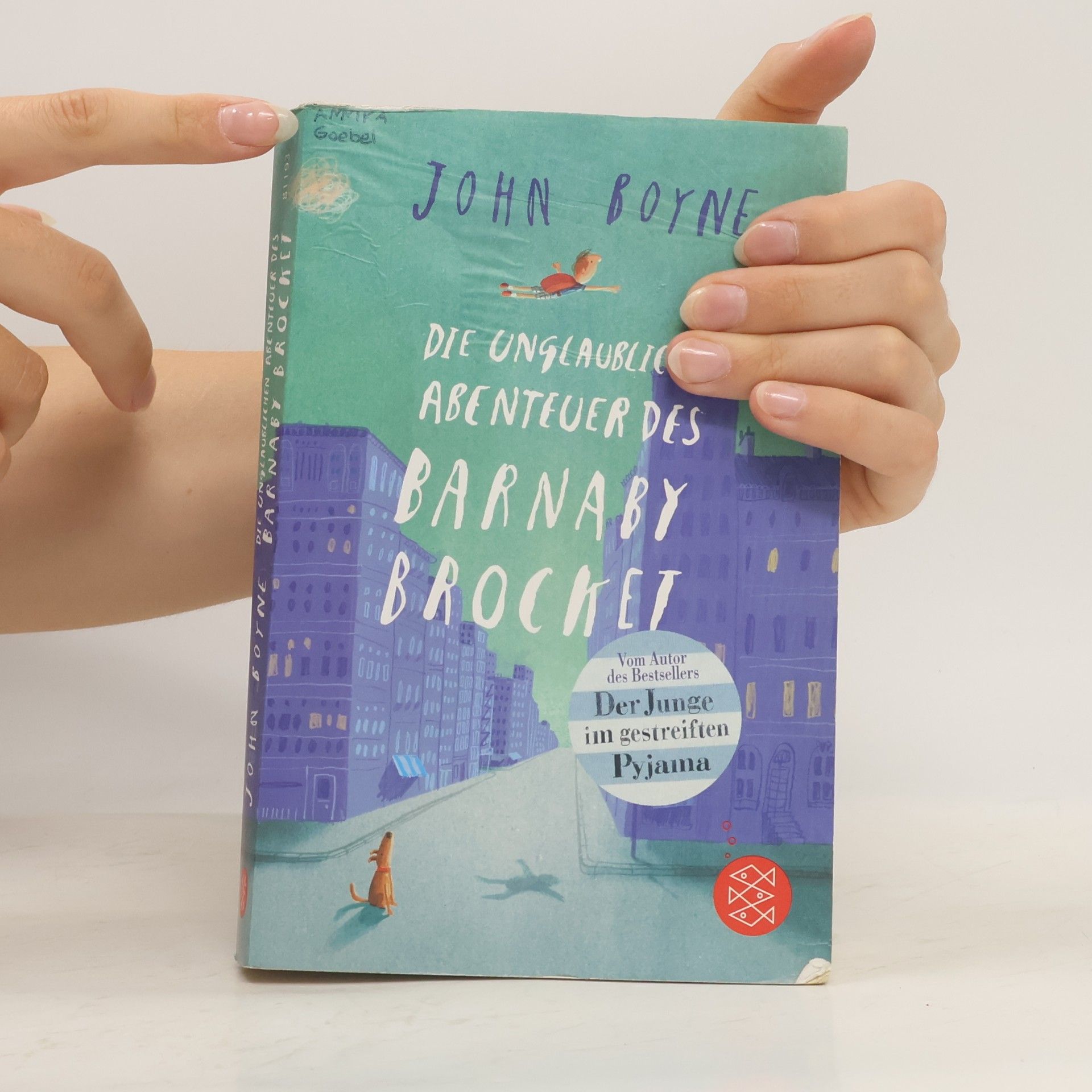 John Boyne Die unglaublichen Abenteuer des Barnaby Brocket