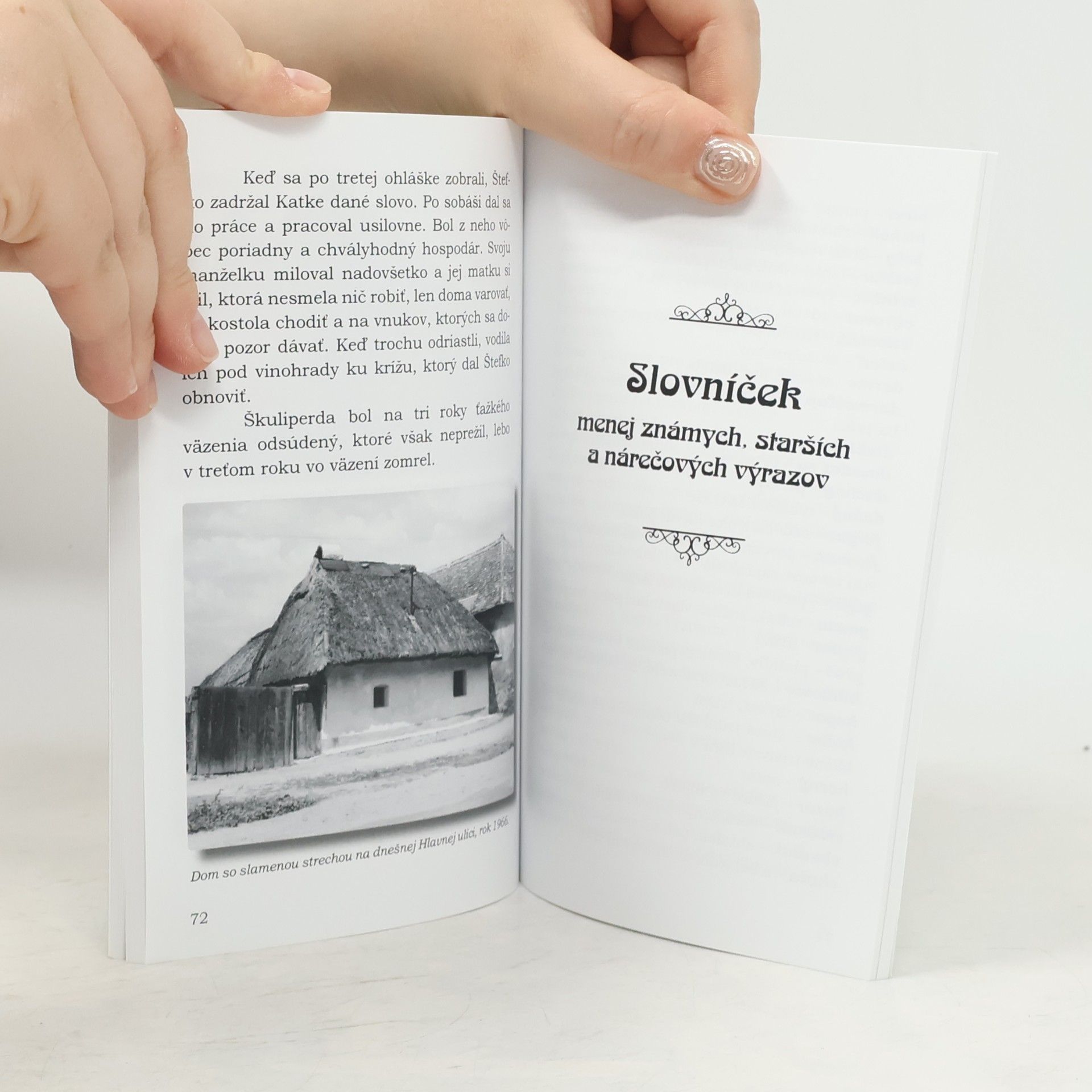 Augustín Paulovič Kríž pod vinohradom a úžerník