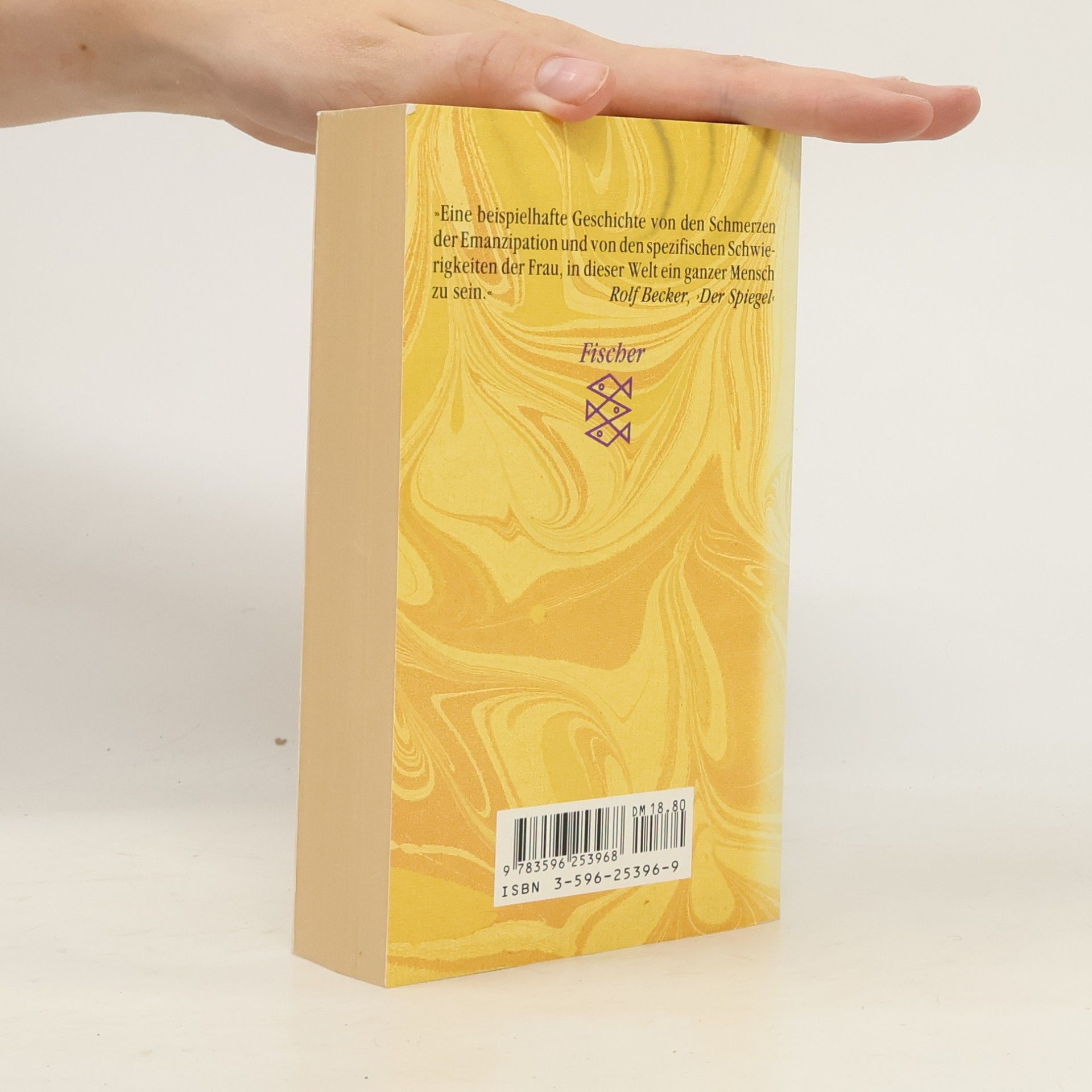 Doris Lessing Das goldene Notizbuch