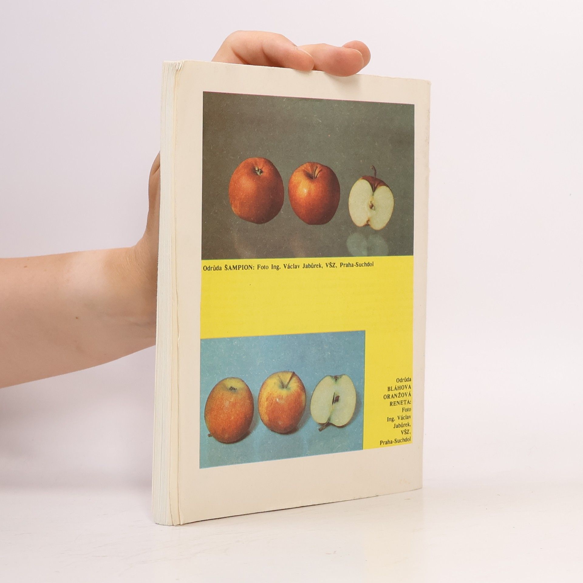 Autorenkollektiv Ovocnářův rok III. Období srpen-prosinec. Kolekce 2/1990