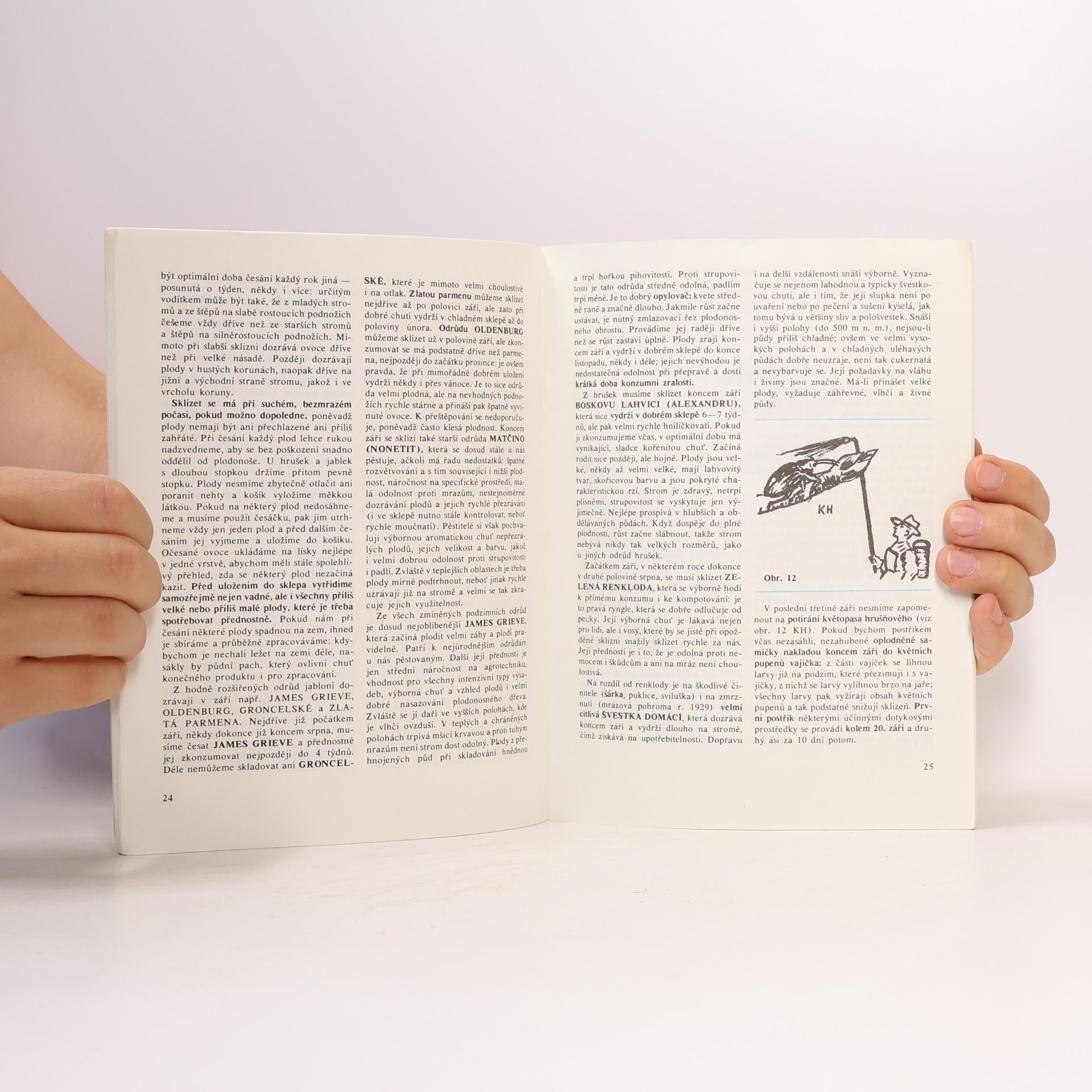 Autorenkollektiv Ovocnářův rok III. Období srpen-prosinec. Kolekce 2/1990