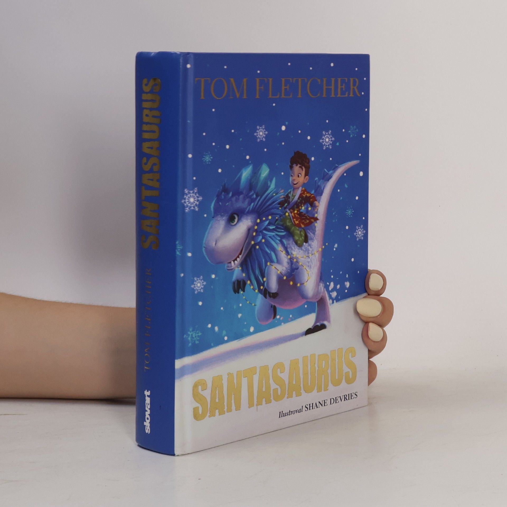 Tom Fletcher Santasaurus