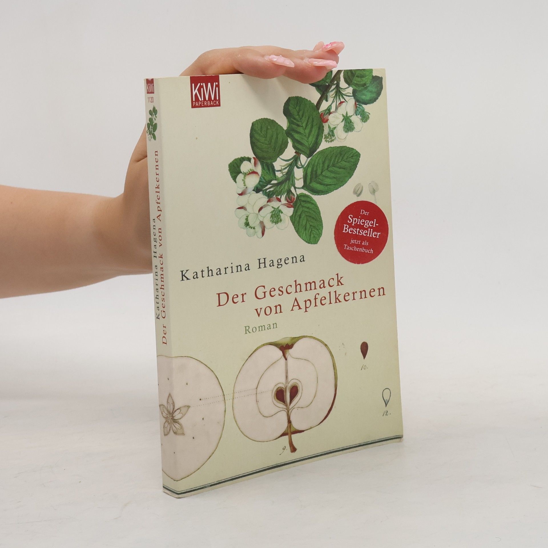 Katharina Hagena Der Geschmack von Apfelkernen