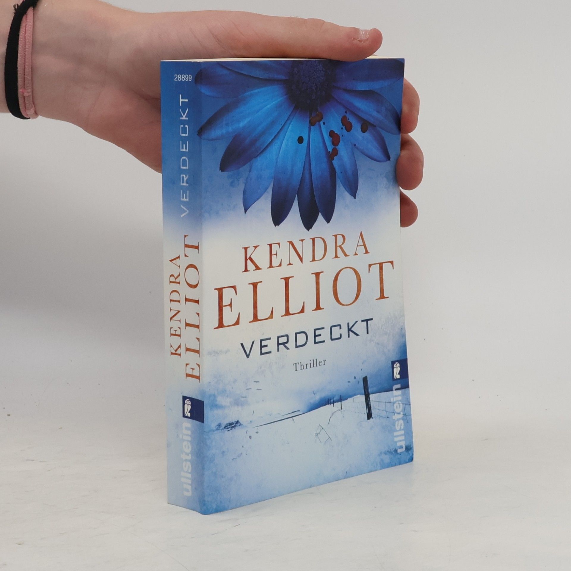 Kendra Elliot Verdeckt