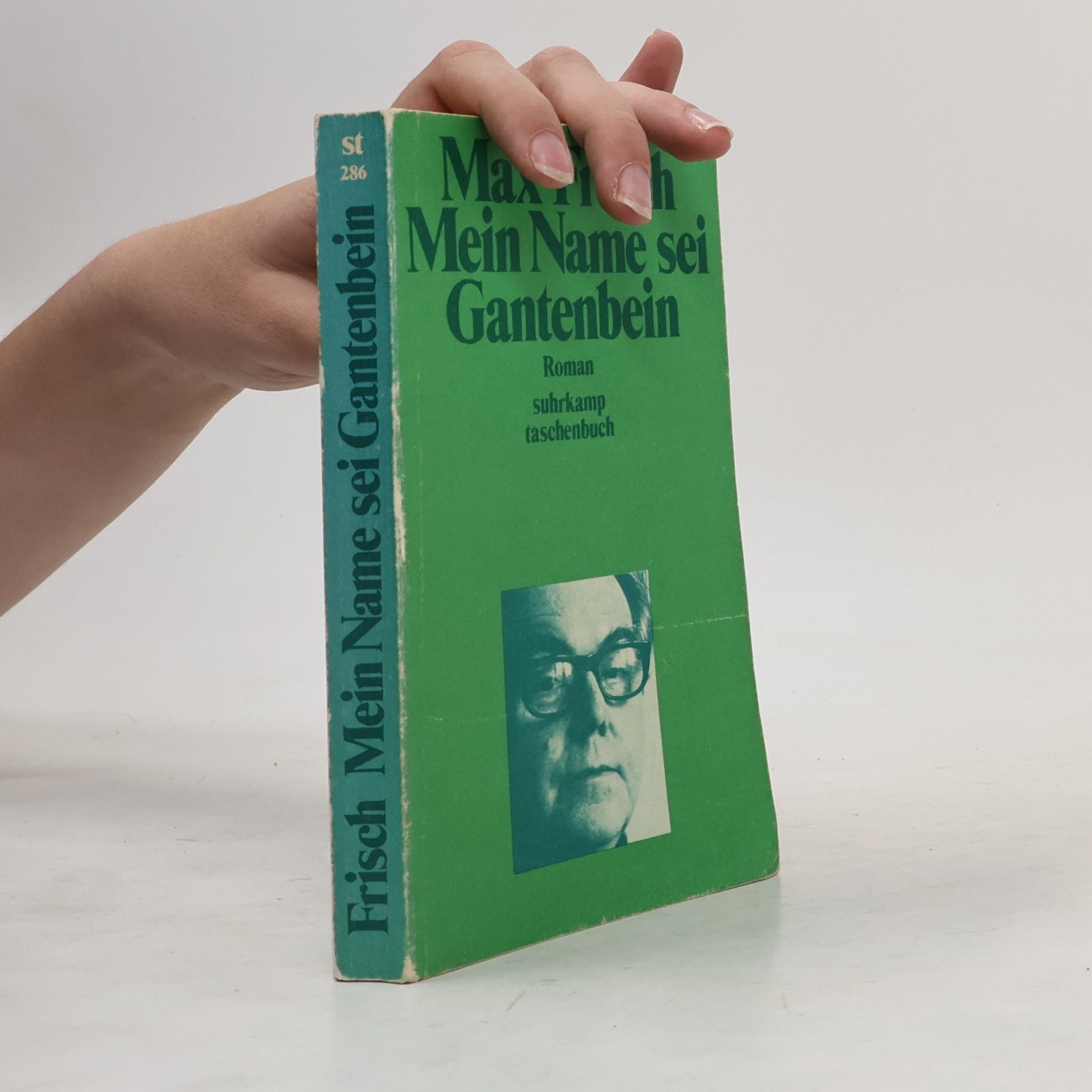 Max Frisch Mein Name sei Gantenbein