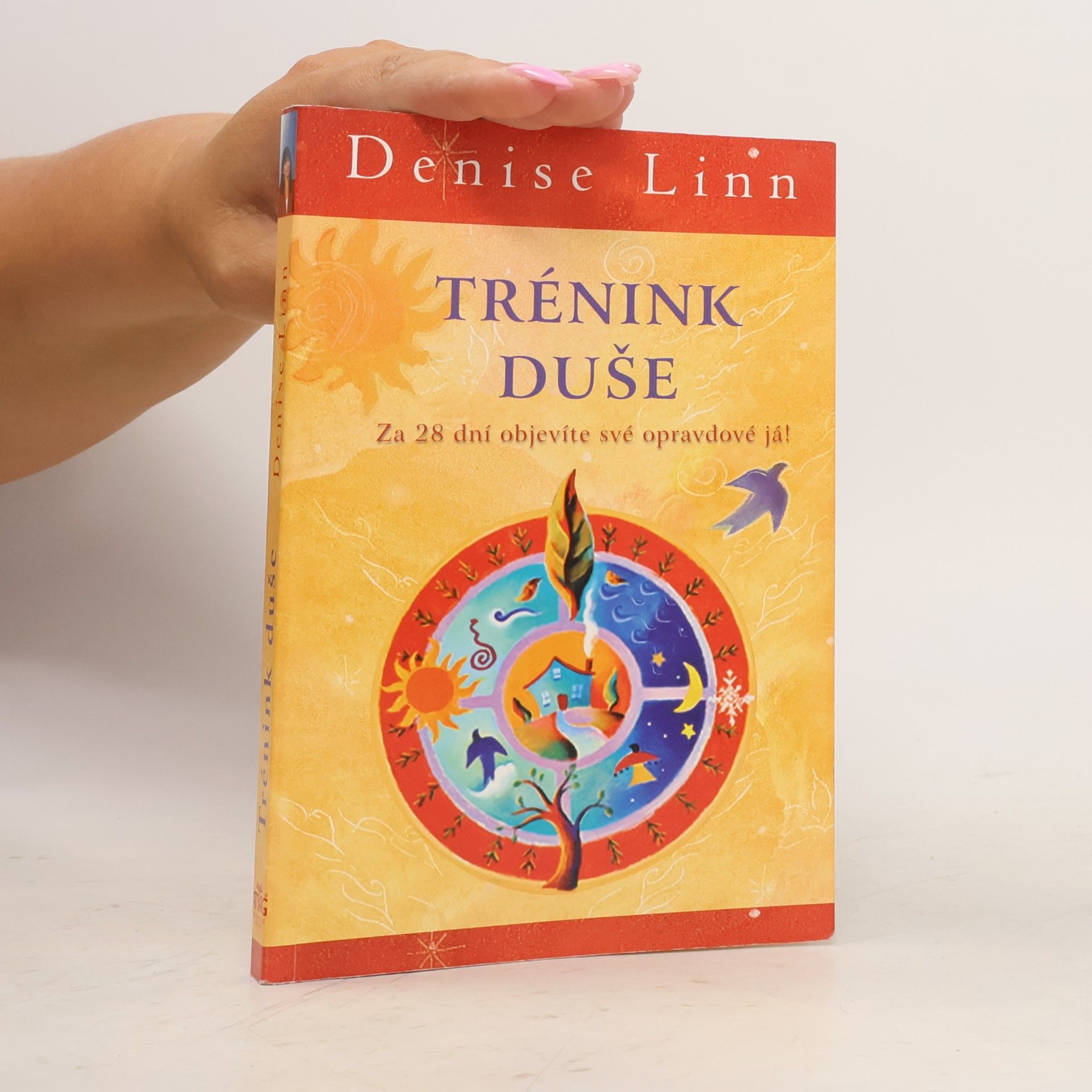 Denise Linn Trénink duše: Za 28 dní objevíte své opravdové já!