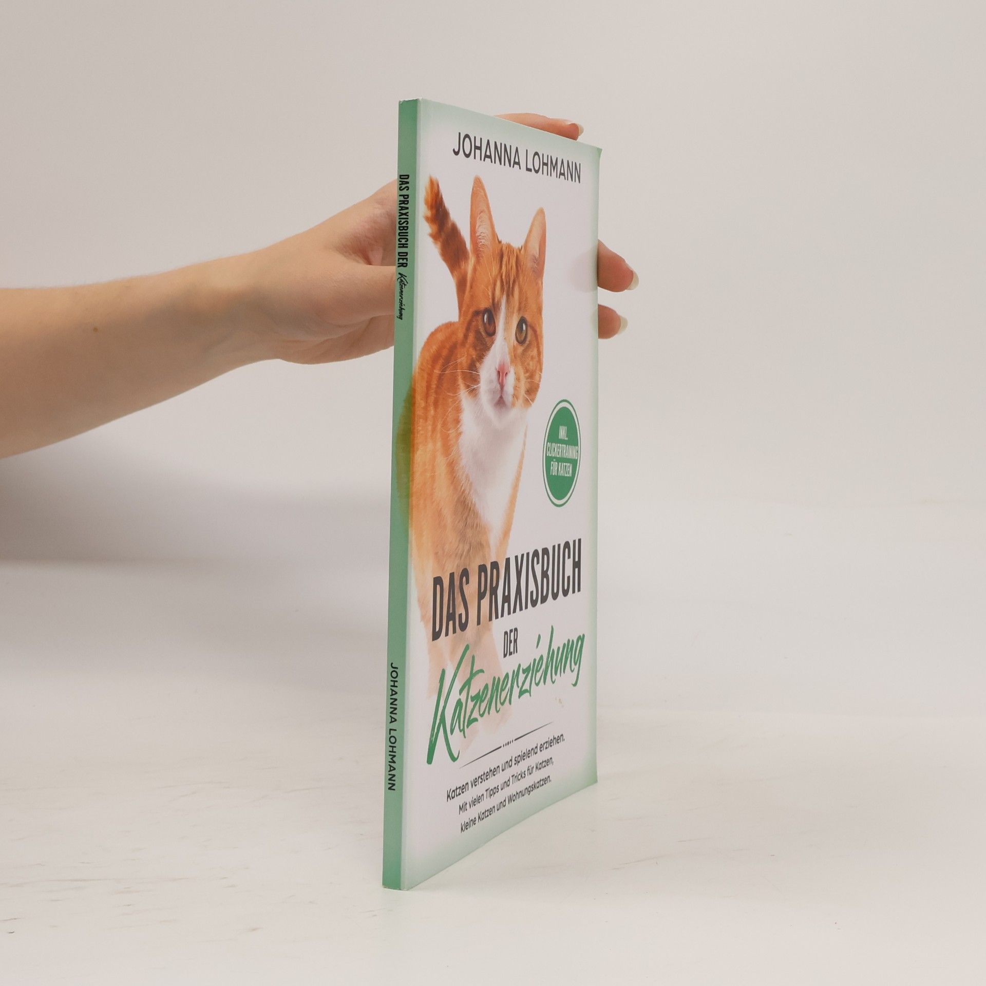 Johanna Lohmann Das Praxisbuch der Katzenerziehung