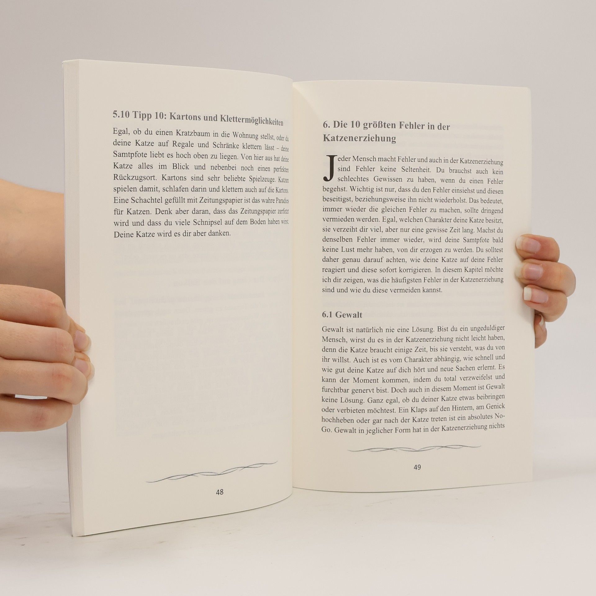 Johanna Lohmann Das Praxisbuch der Katzenerziehung