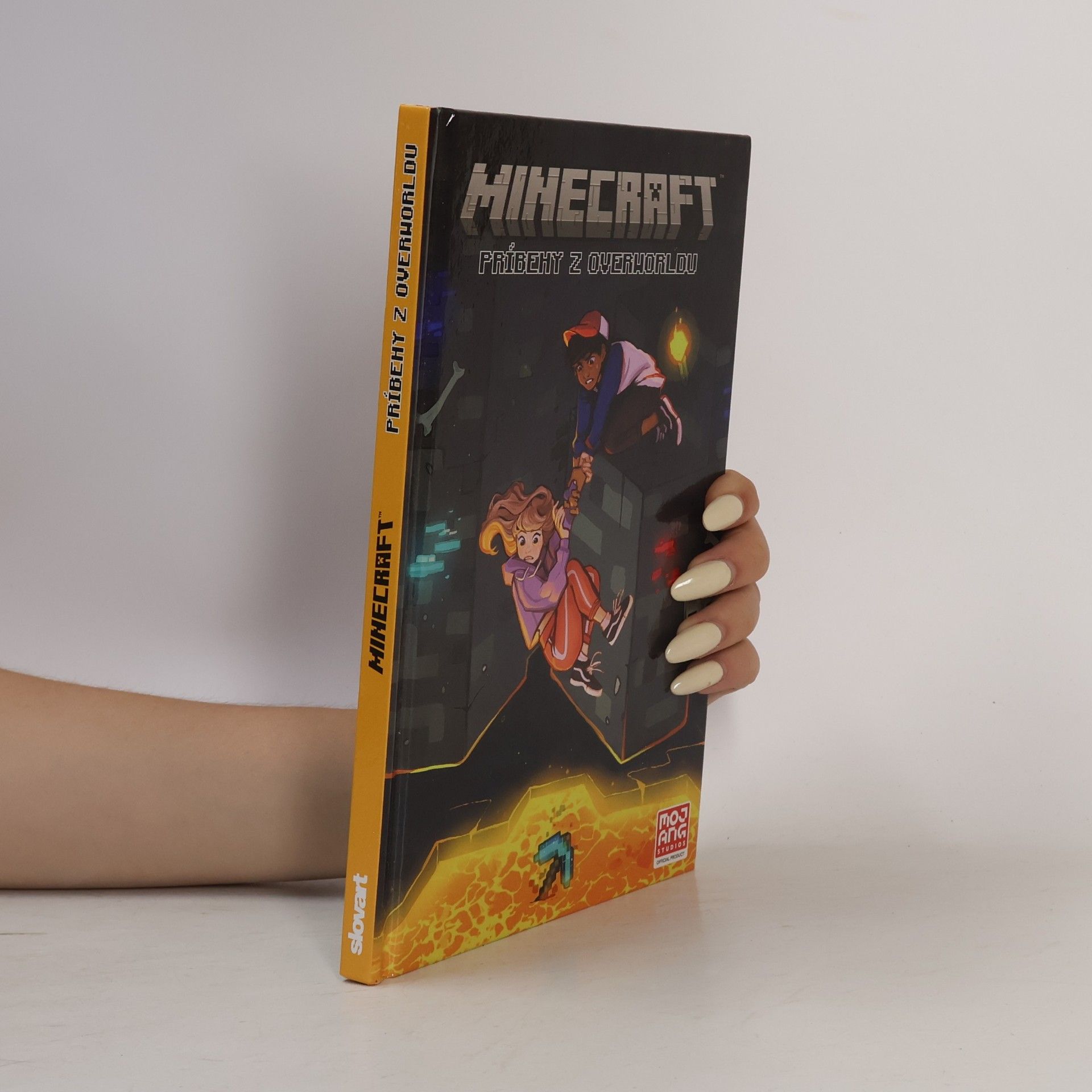 Ian Flynn Minecraft: Príbehy z Overworldu