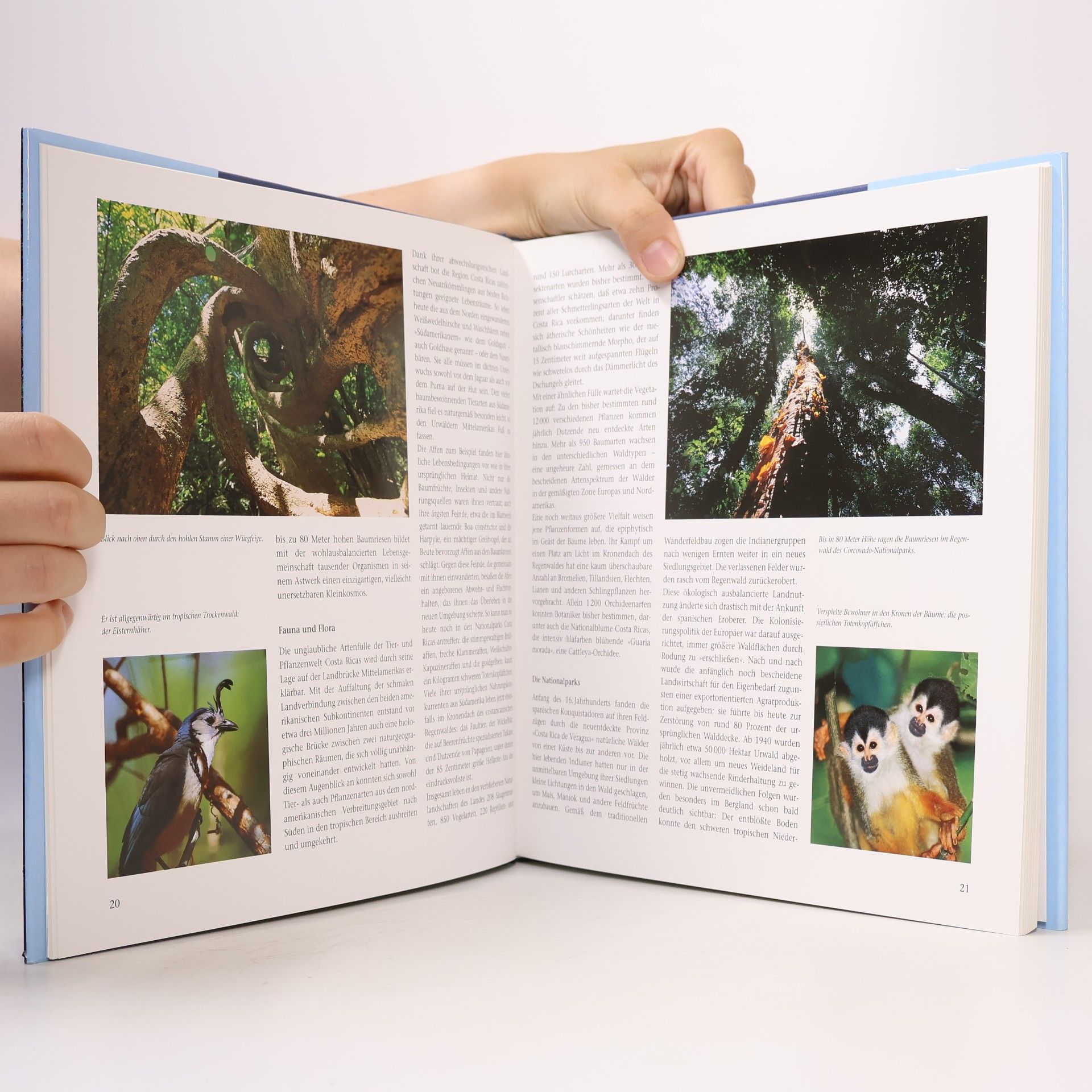 Autorenkollektiv Costa Rica