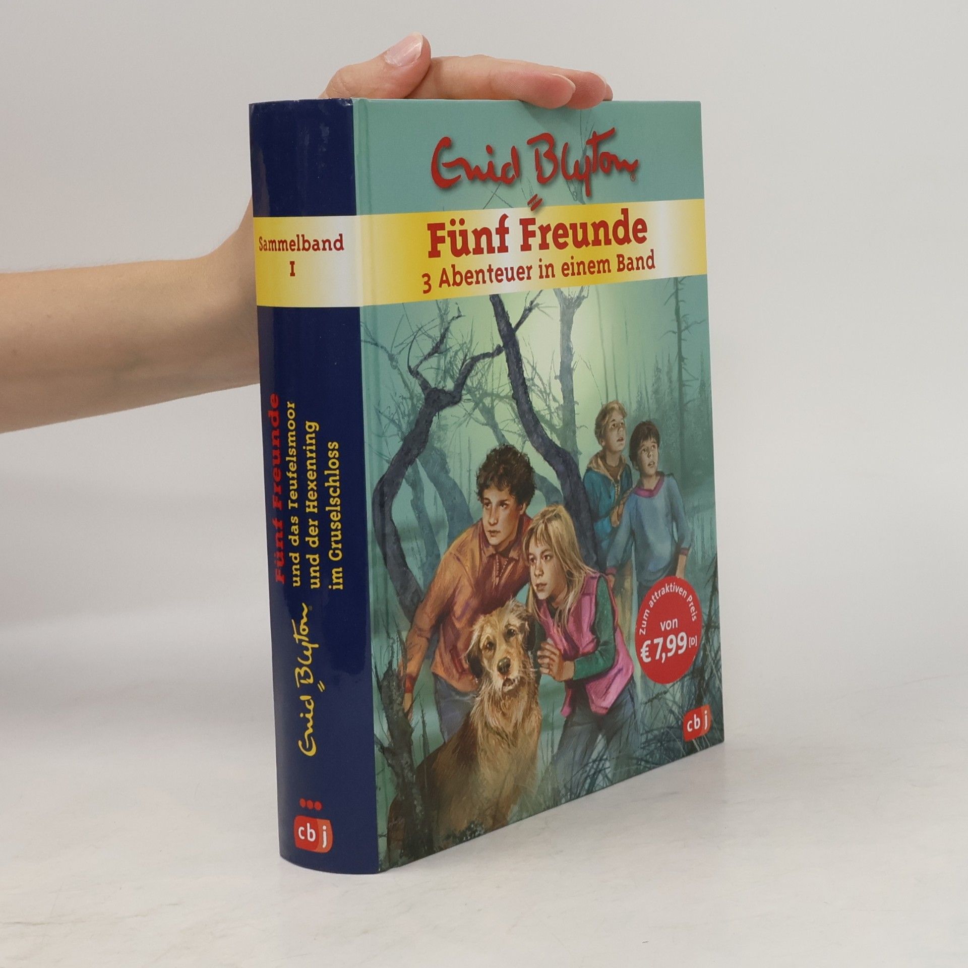 Enid Blyton Sammelband 1. Fünf Freunde. 3 Abenteuer in einem Band