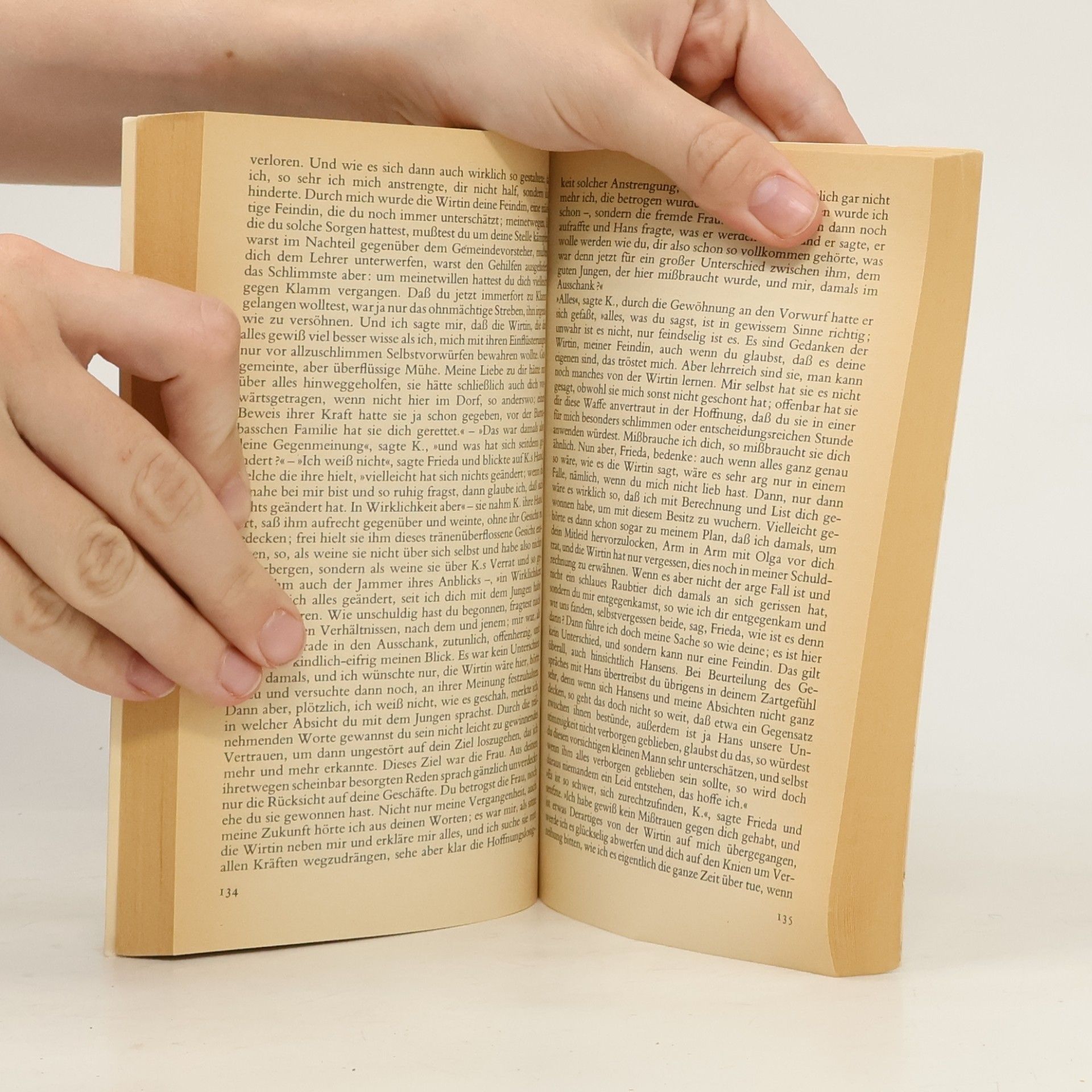 Franz Kafka Das Schloß: Roman