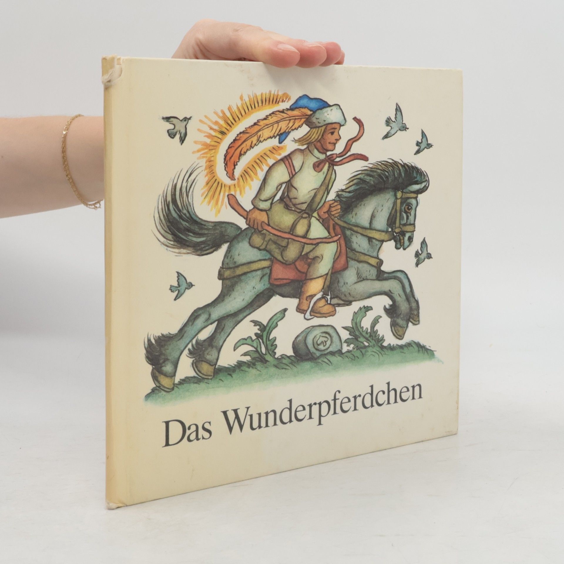 Auteurscollectief Das Wunderpferdchen