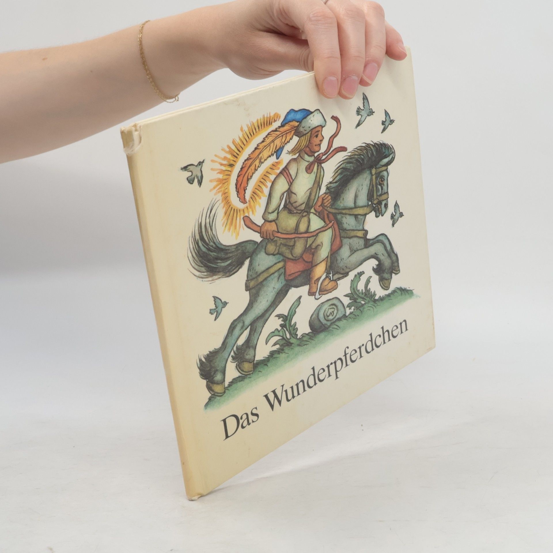Auteurscollectief Das Wunderpferdchen