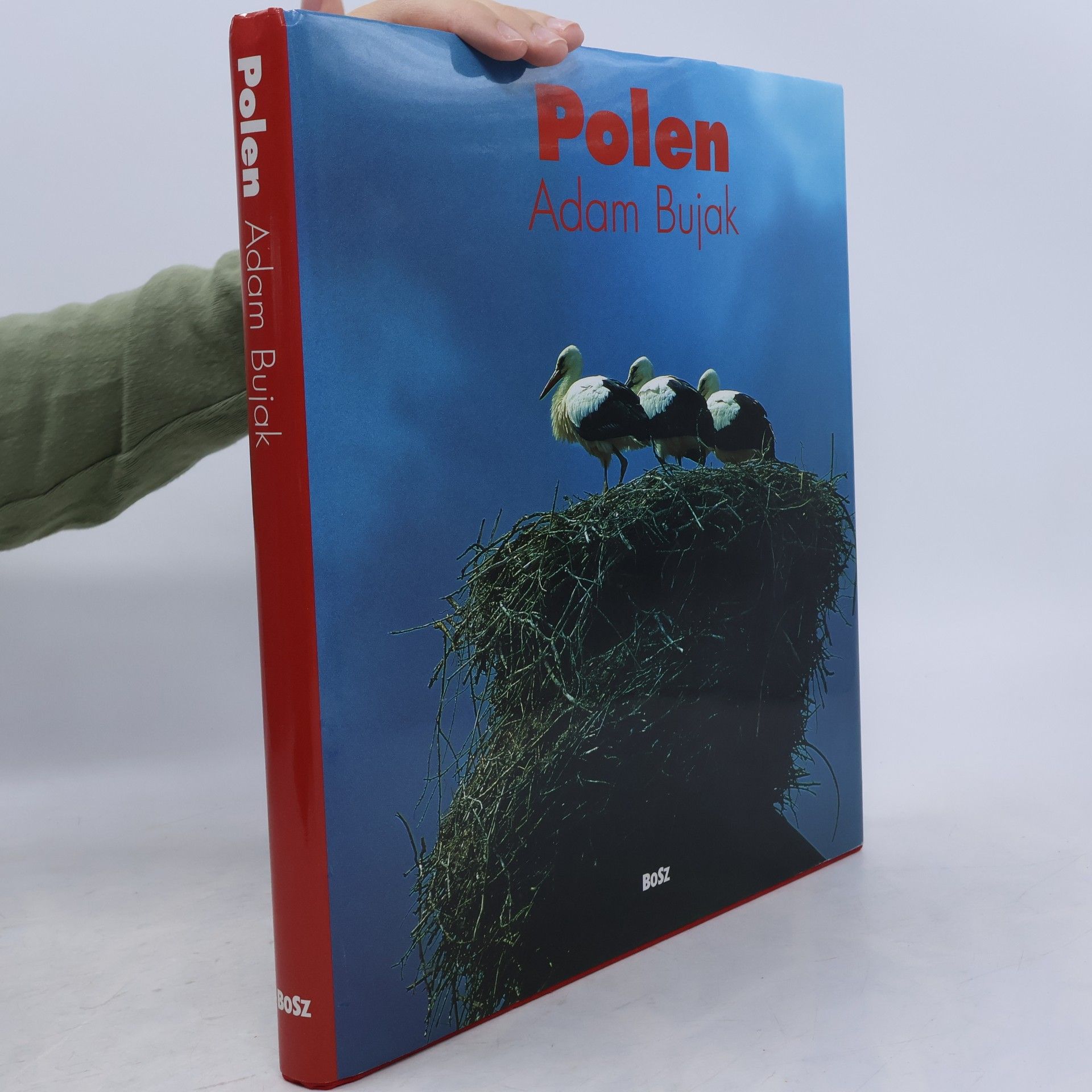 Adam Bujak Polen