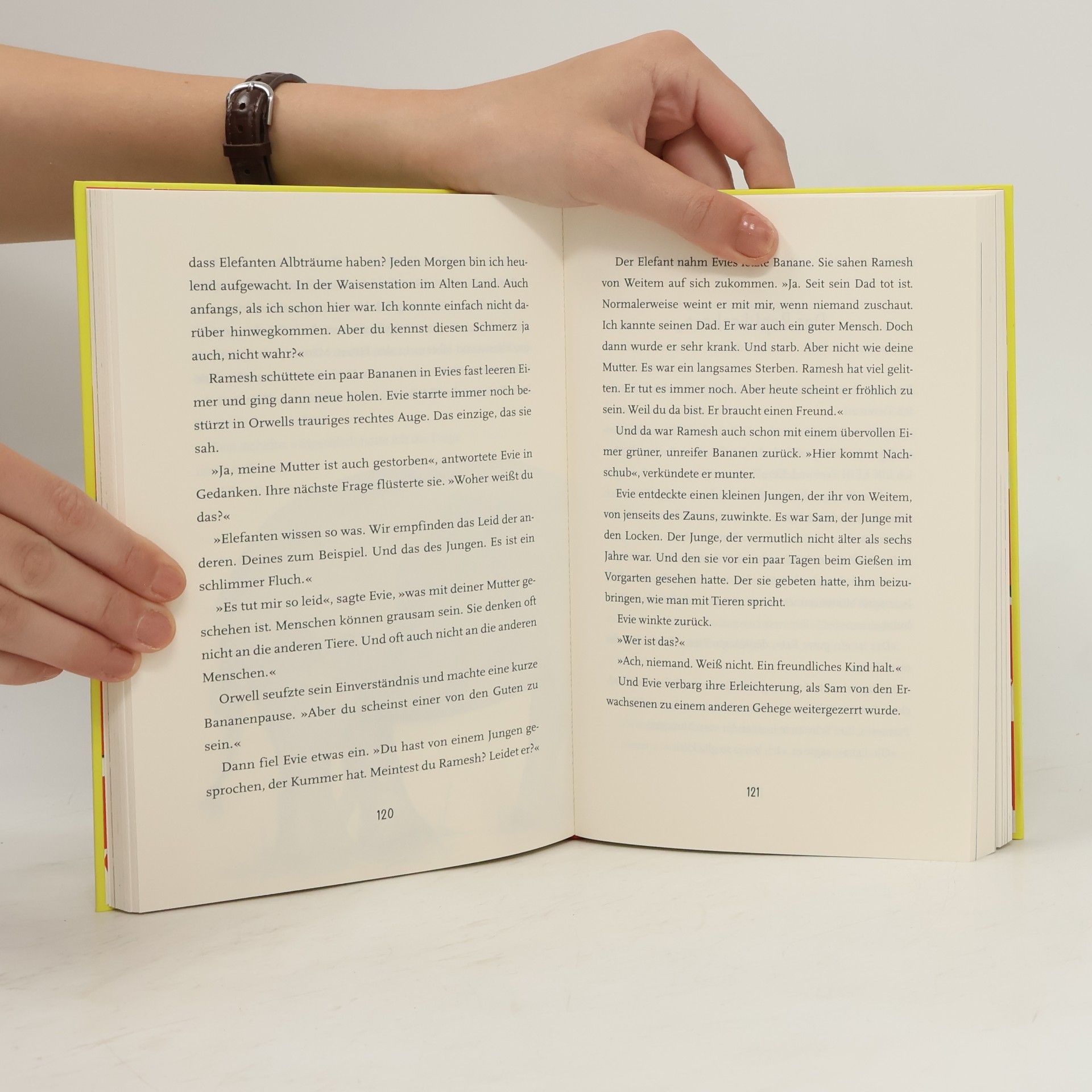 Matt Haig Evie und die Macht der Tiere