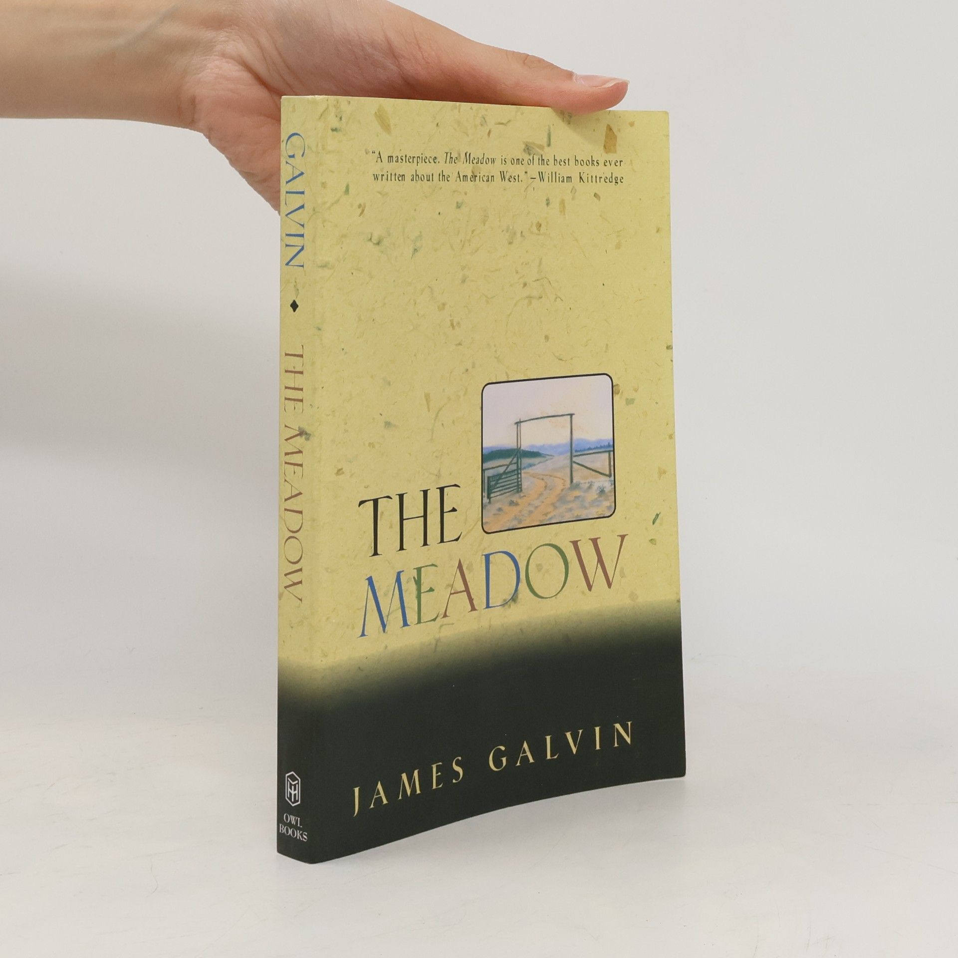 James Galvin The Meadow