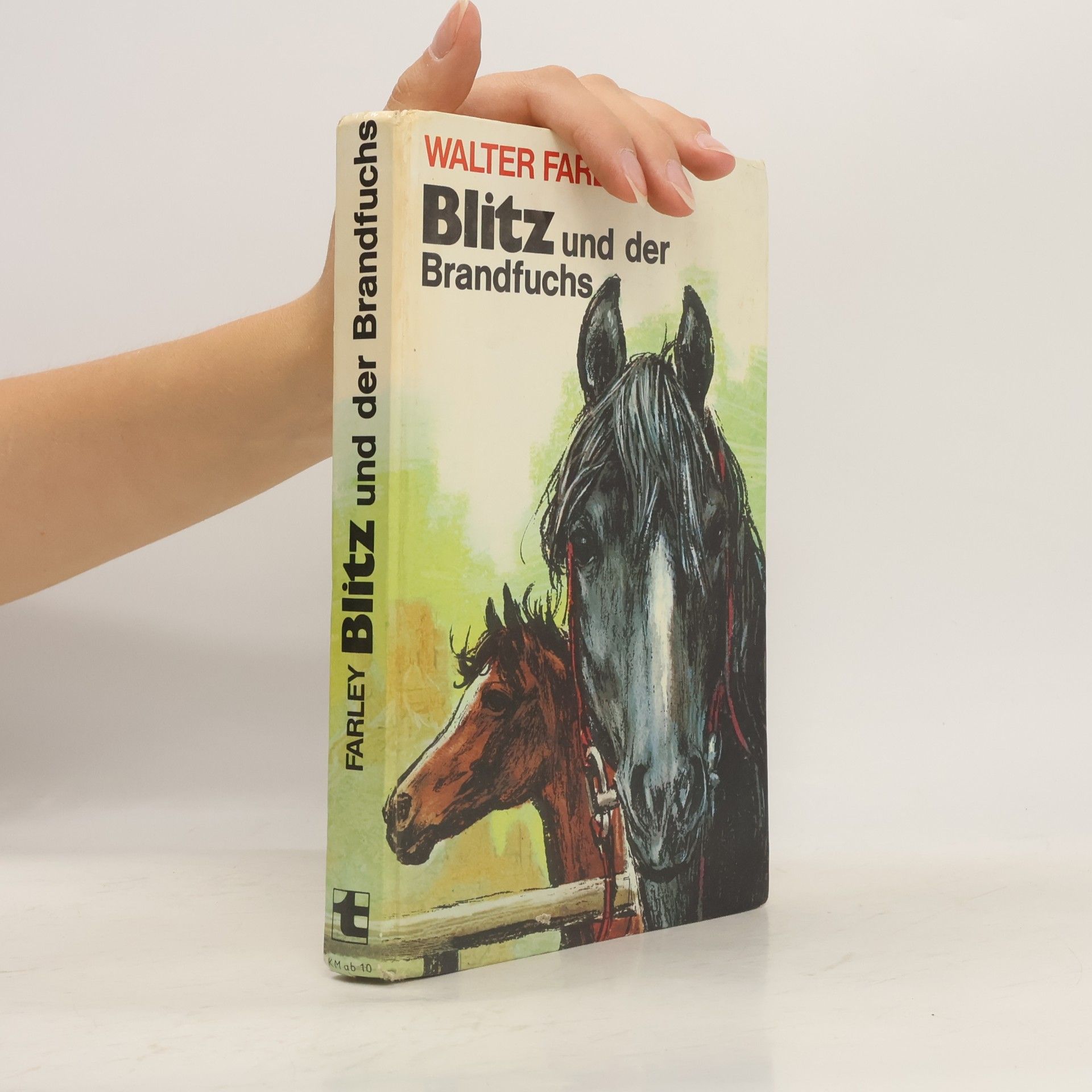 Walter Farley Blitz und der Brandfuchs