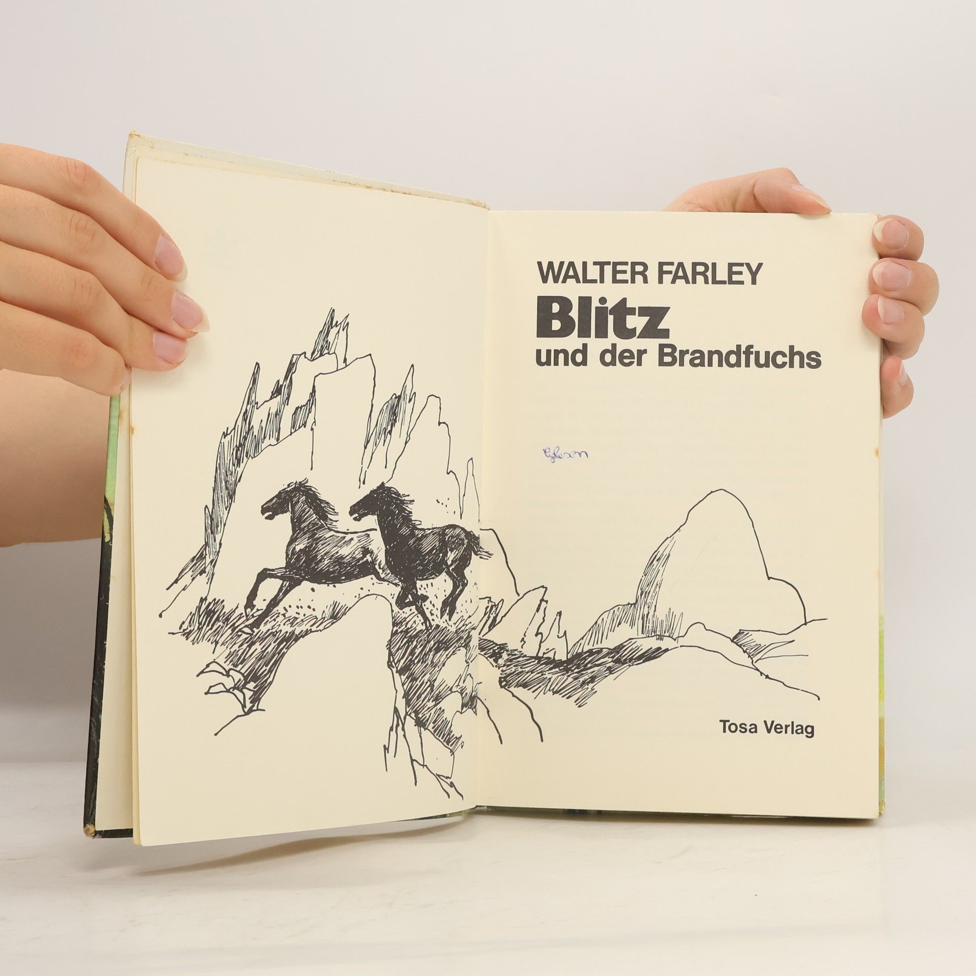 Walter Farley Blitz und der Brandfuchs