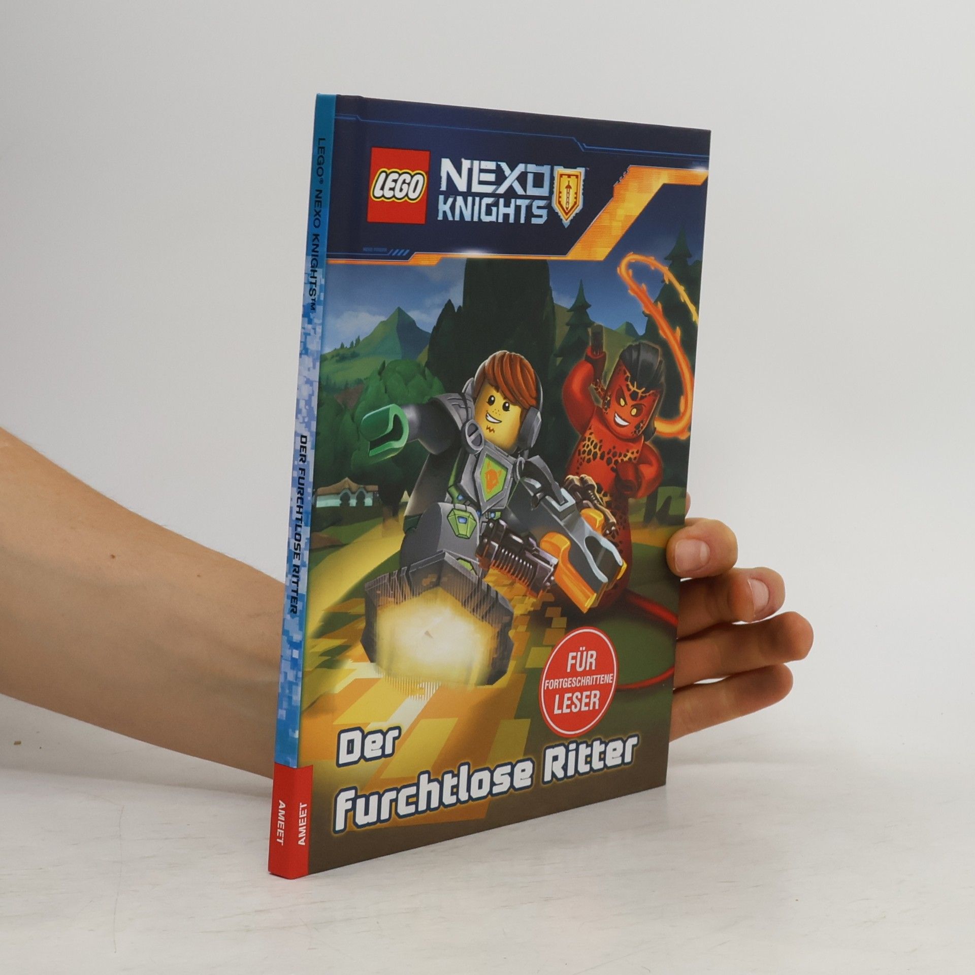 Der furchtlose Ritter