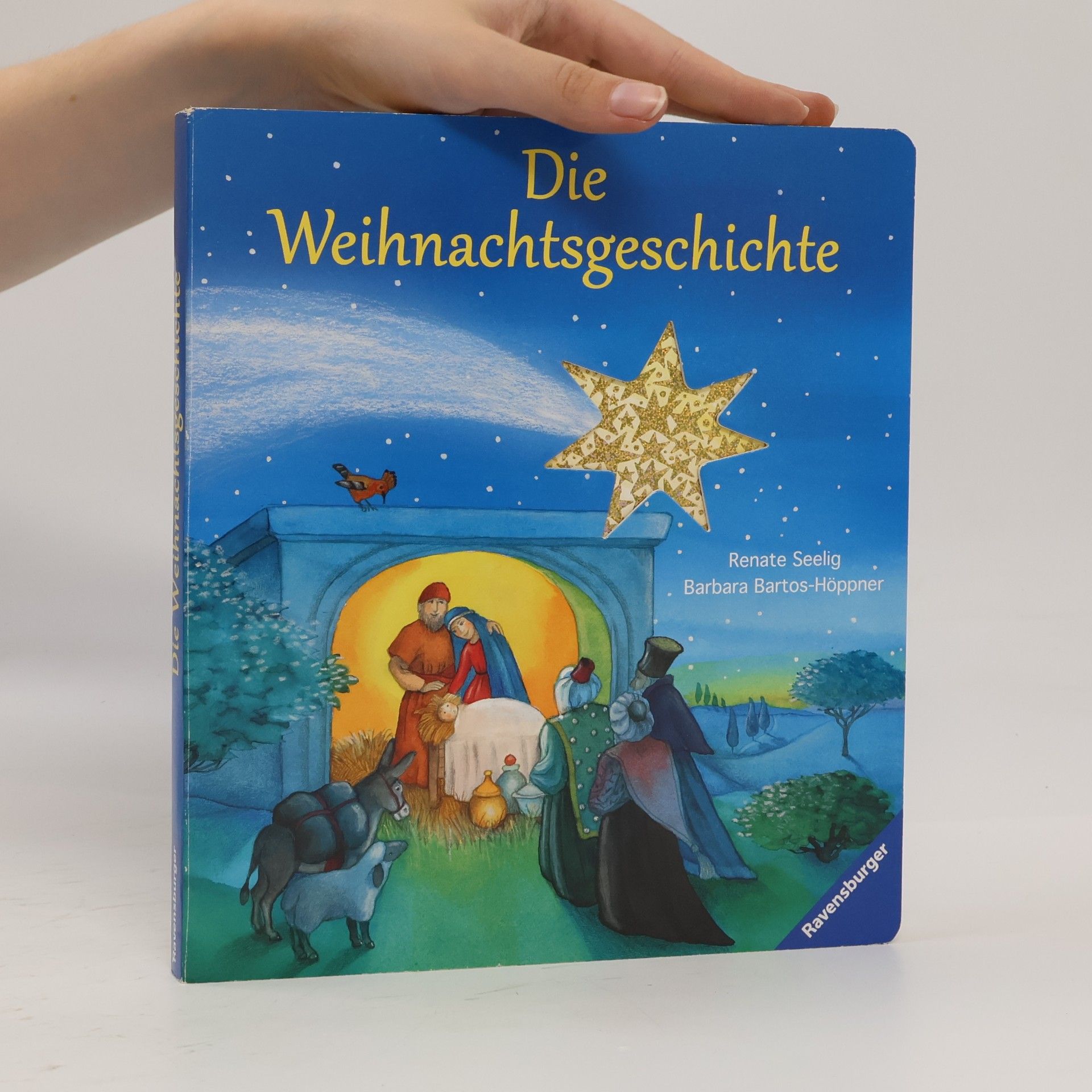 Renate Seelig Die Weihnachtsgeschichte