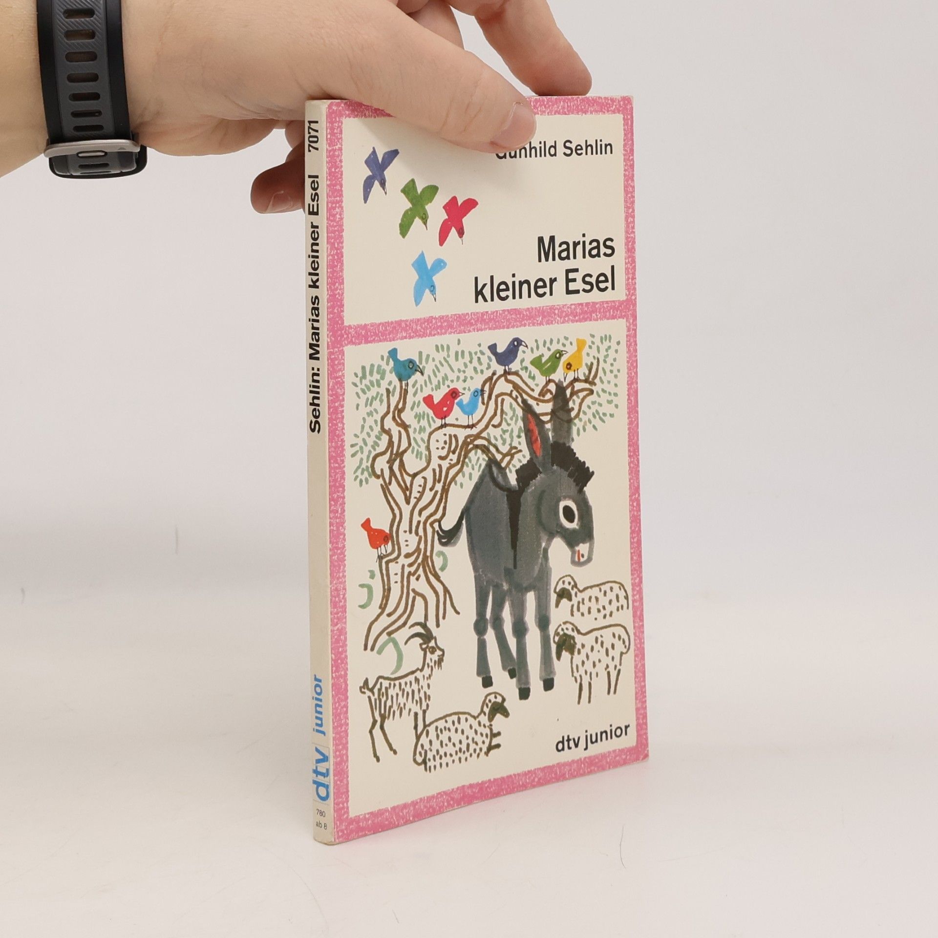 Gunhild Sehlin Marias kleiner Esel