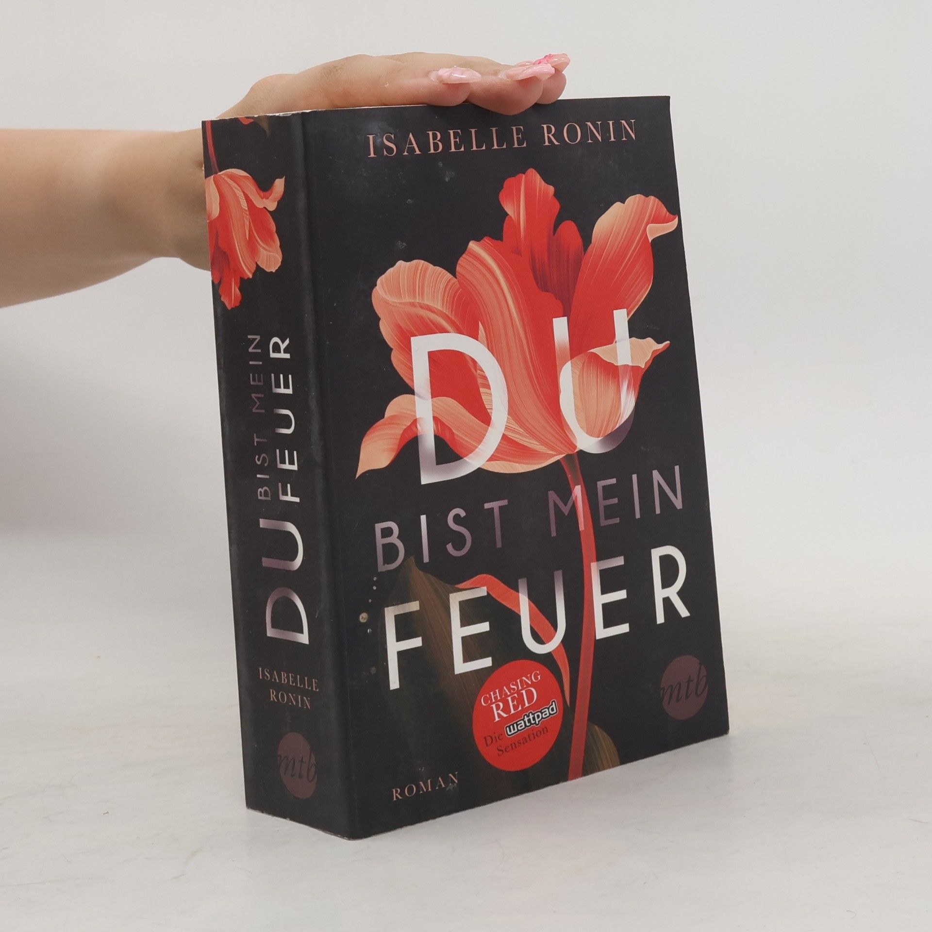 Isabelle Ronin Du bist mein Feuer