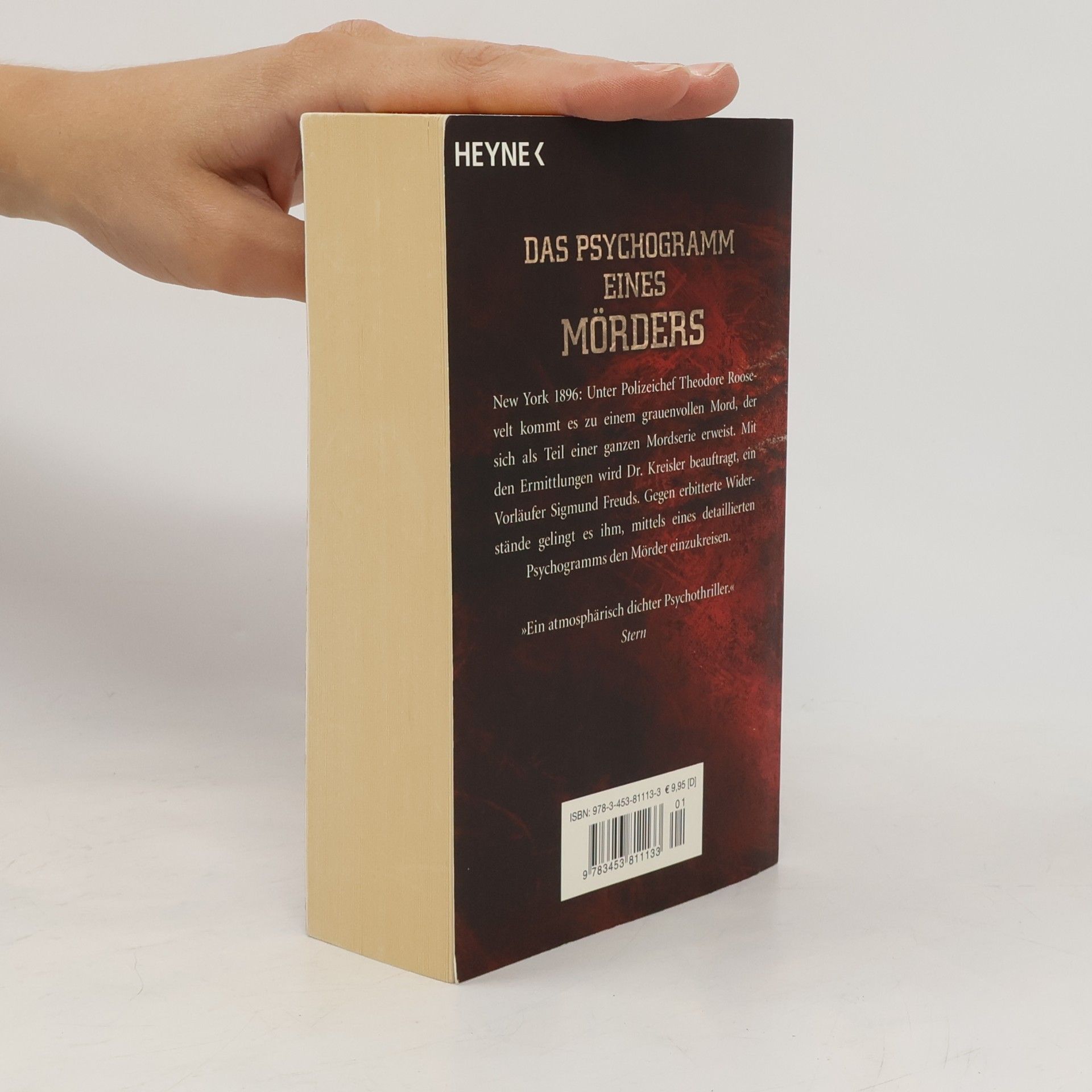 Caleb Carr Die Einkreisung