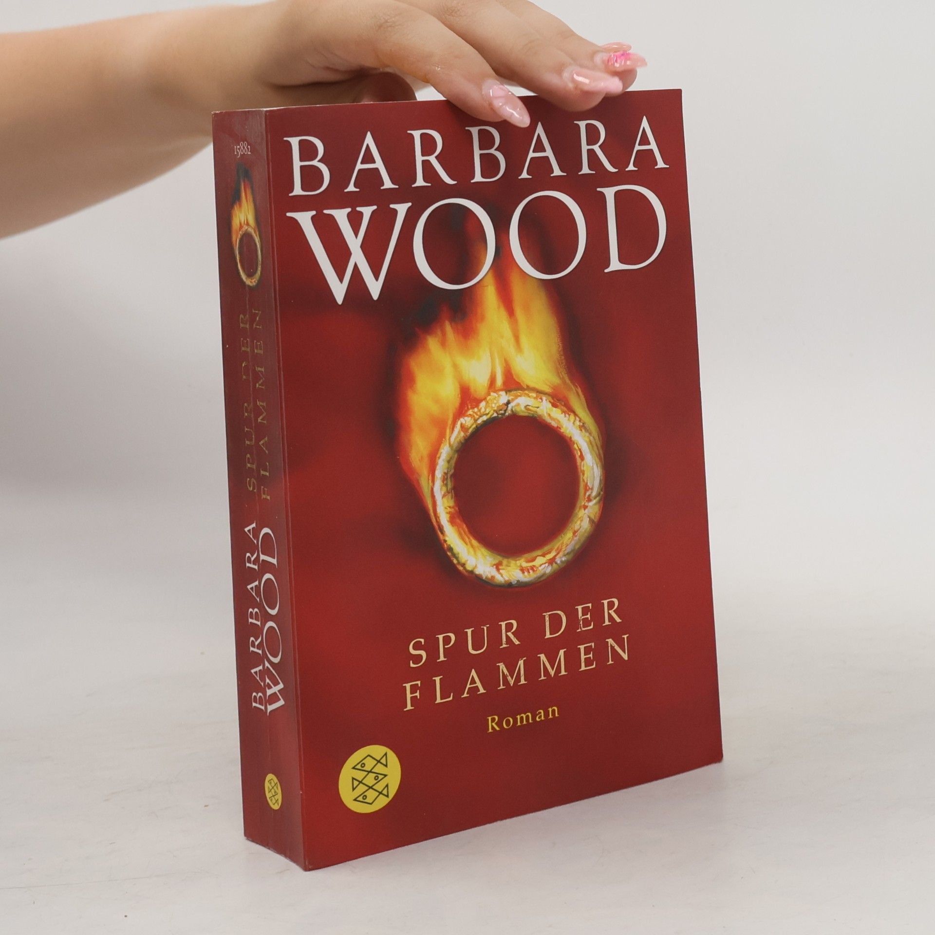 Barbara Wood Spur der Flammen