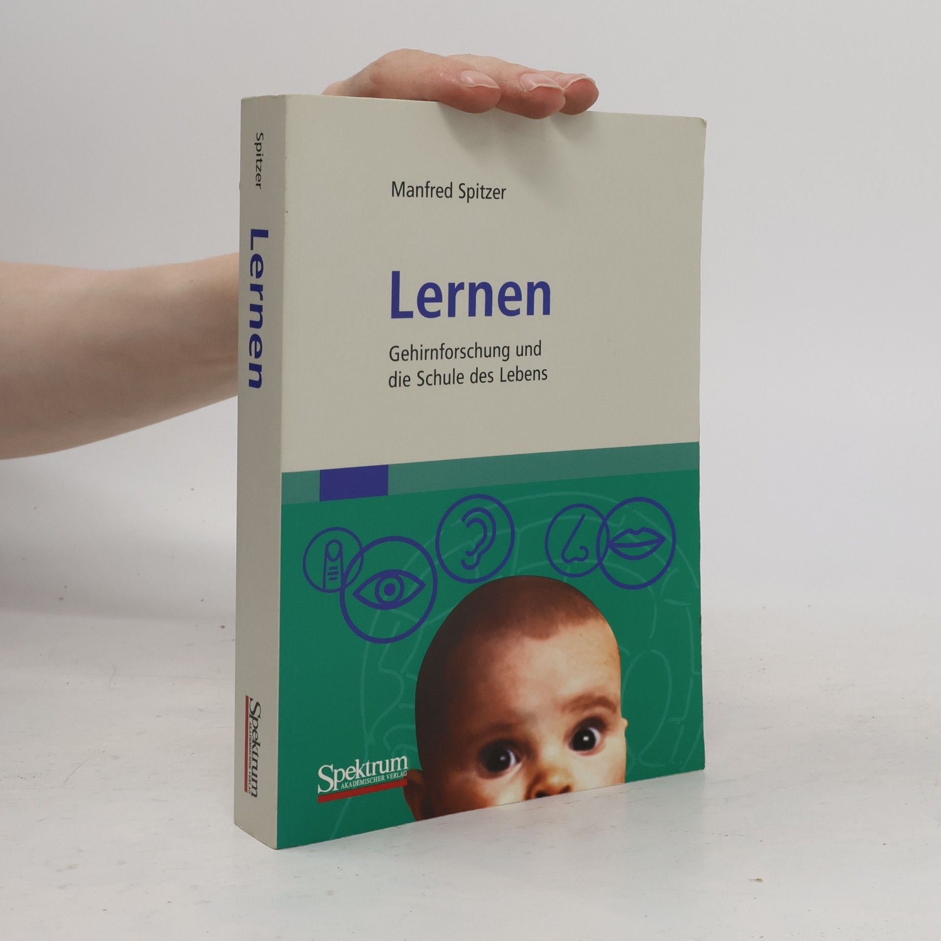 Manfred Spitzer Lernen : Gehirnforschung und die Schule des Lebens