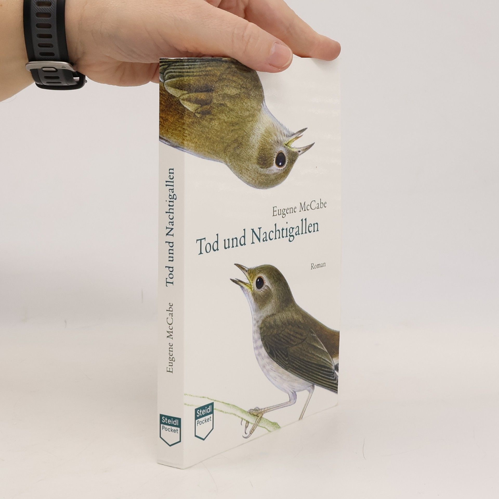 Eugene McCabe Tod und Nachtigallen (Steidl Pocket)